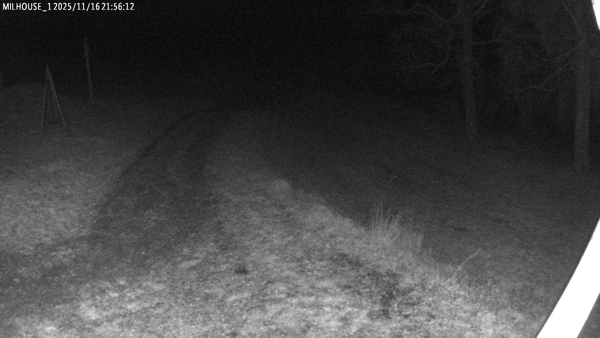 Aktuální stav ve Zdobnici