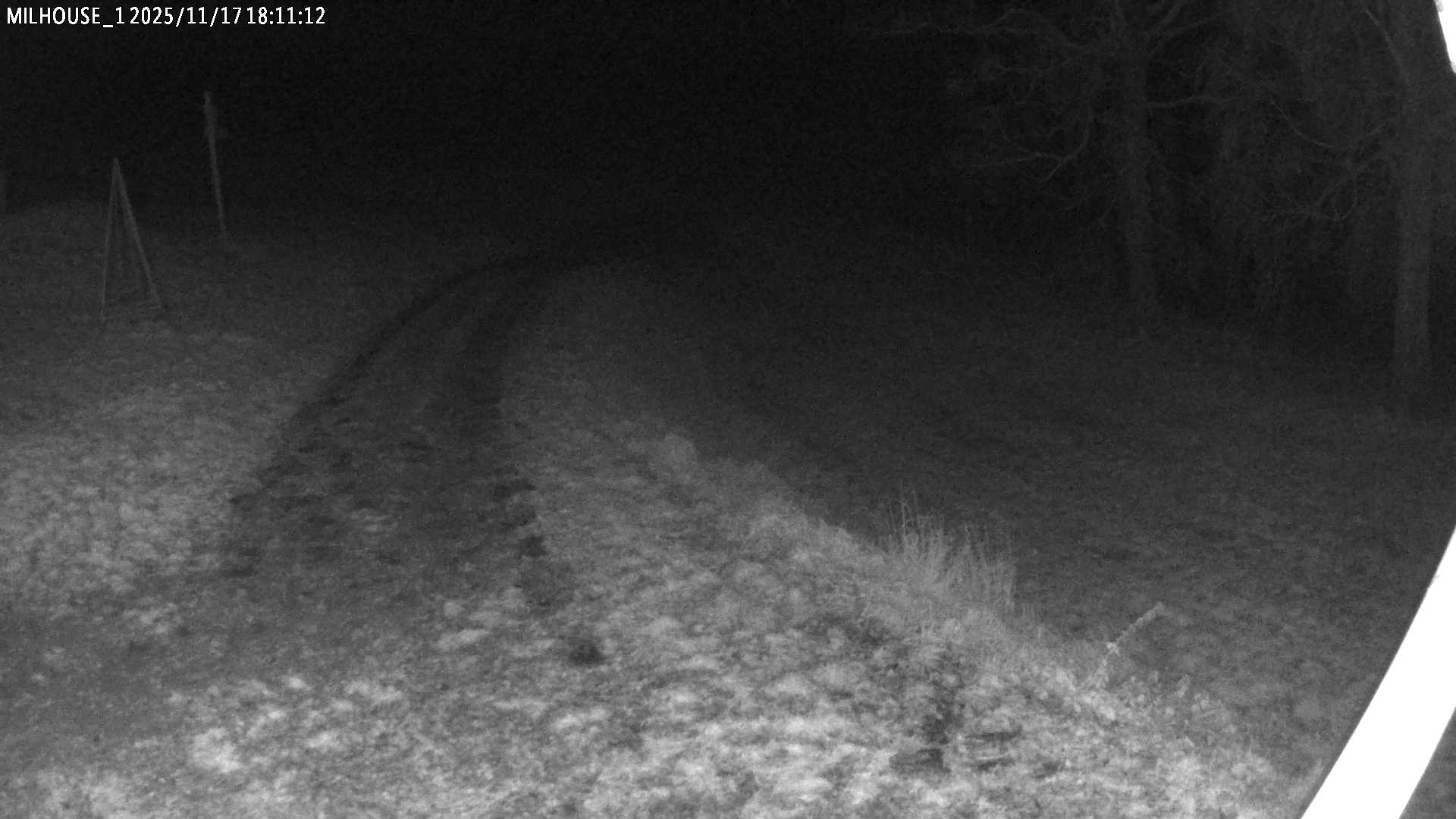 Aktuální stav ve Zdobnici