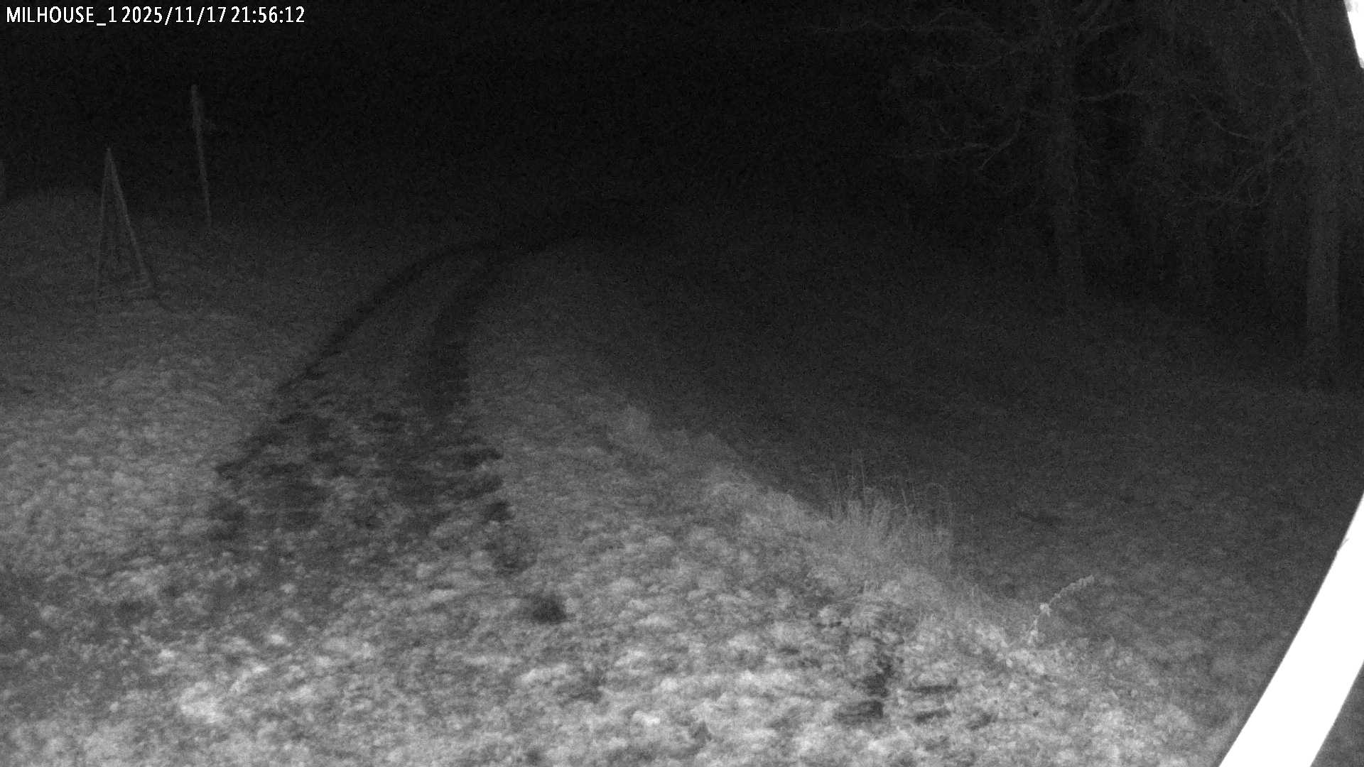 Aktuální stav ve Zdobnici