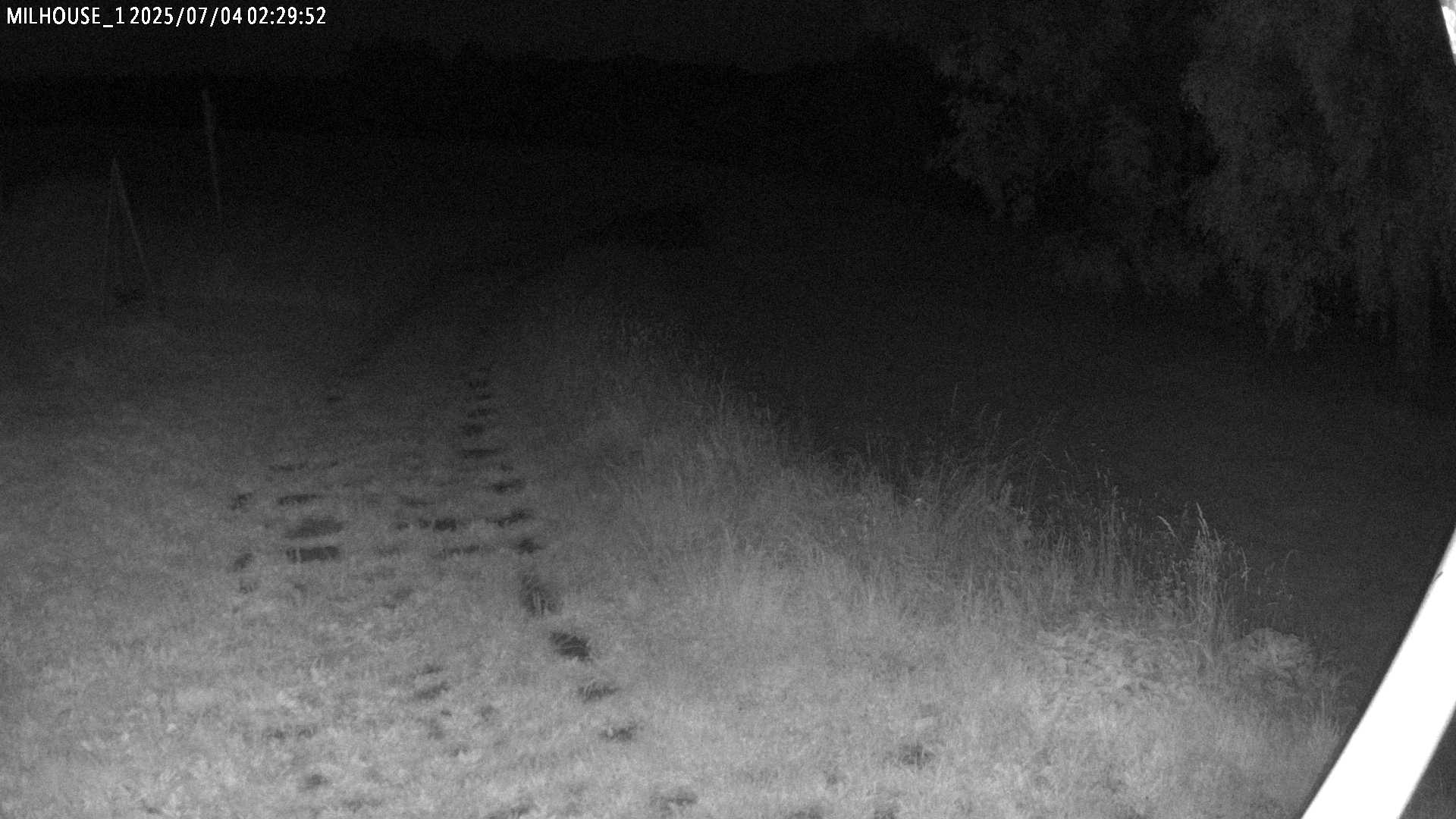 Fotka z 02:29