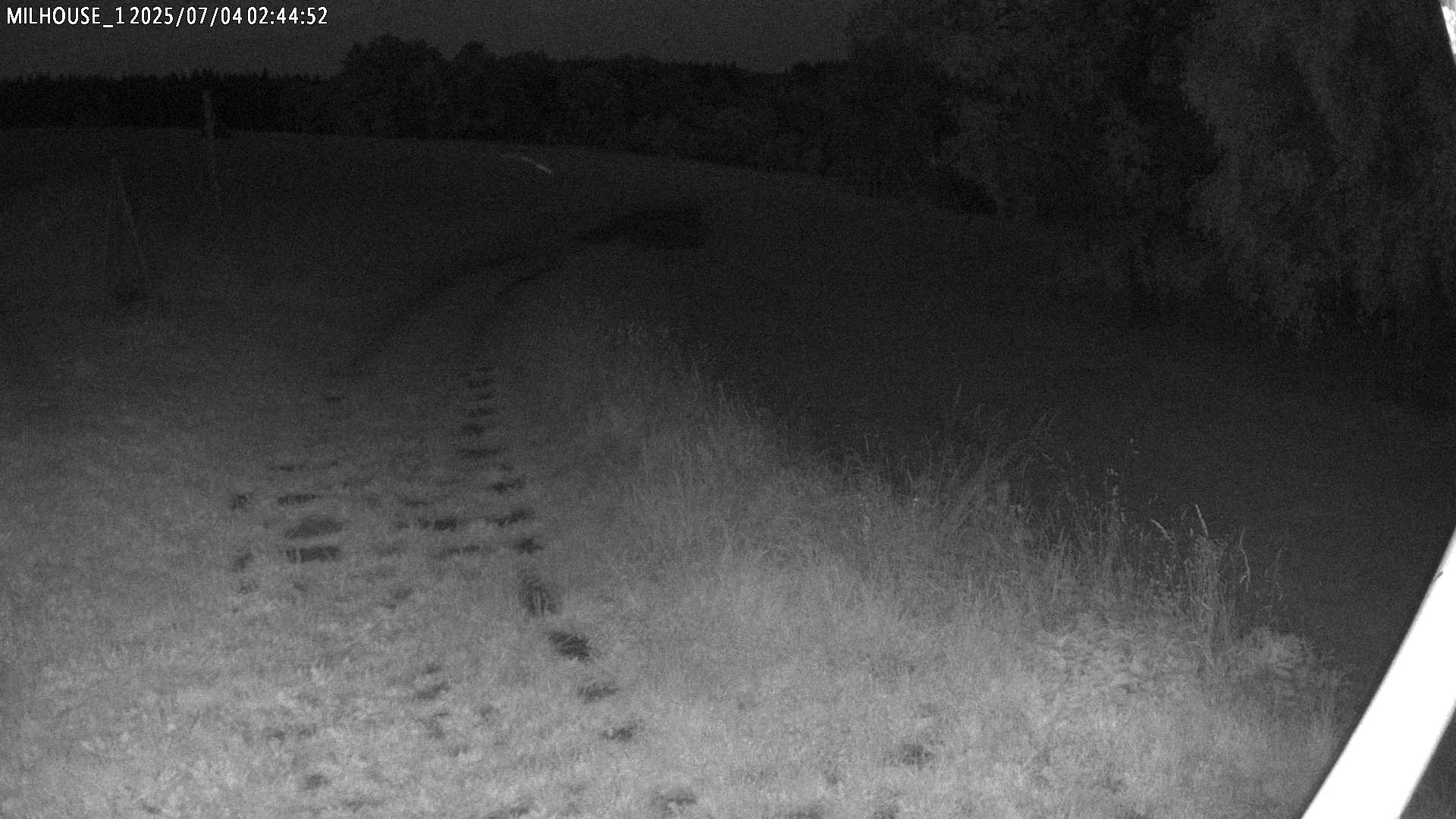 Fotka z 02:44