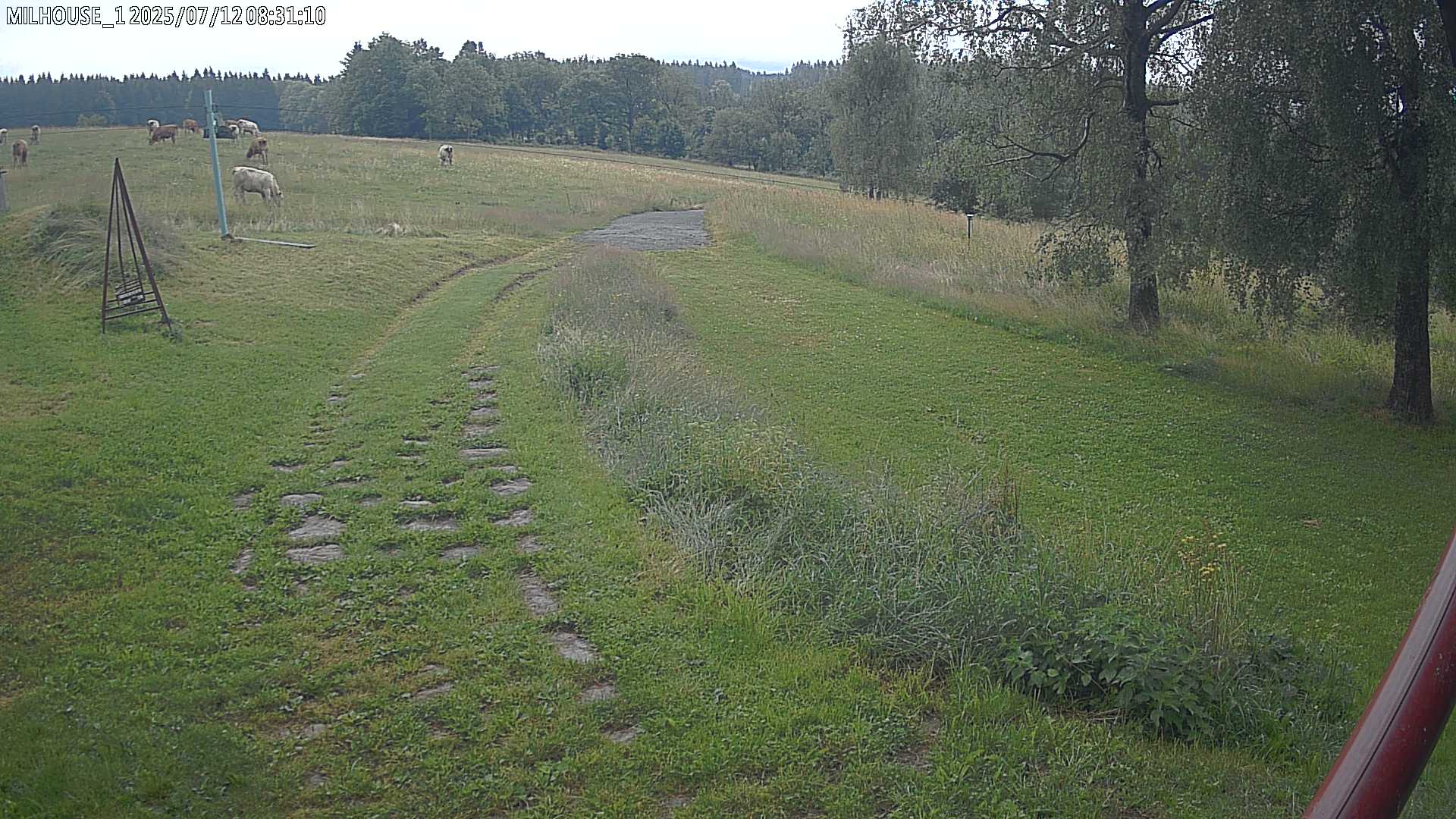 Aktuální stav ve Zdobnici