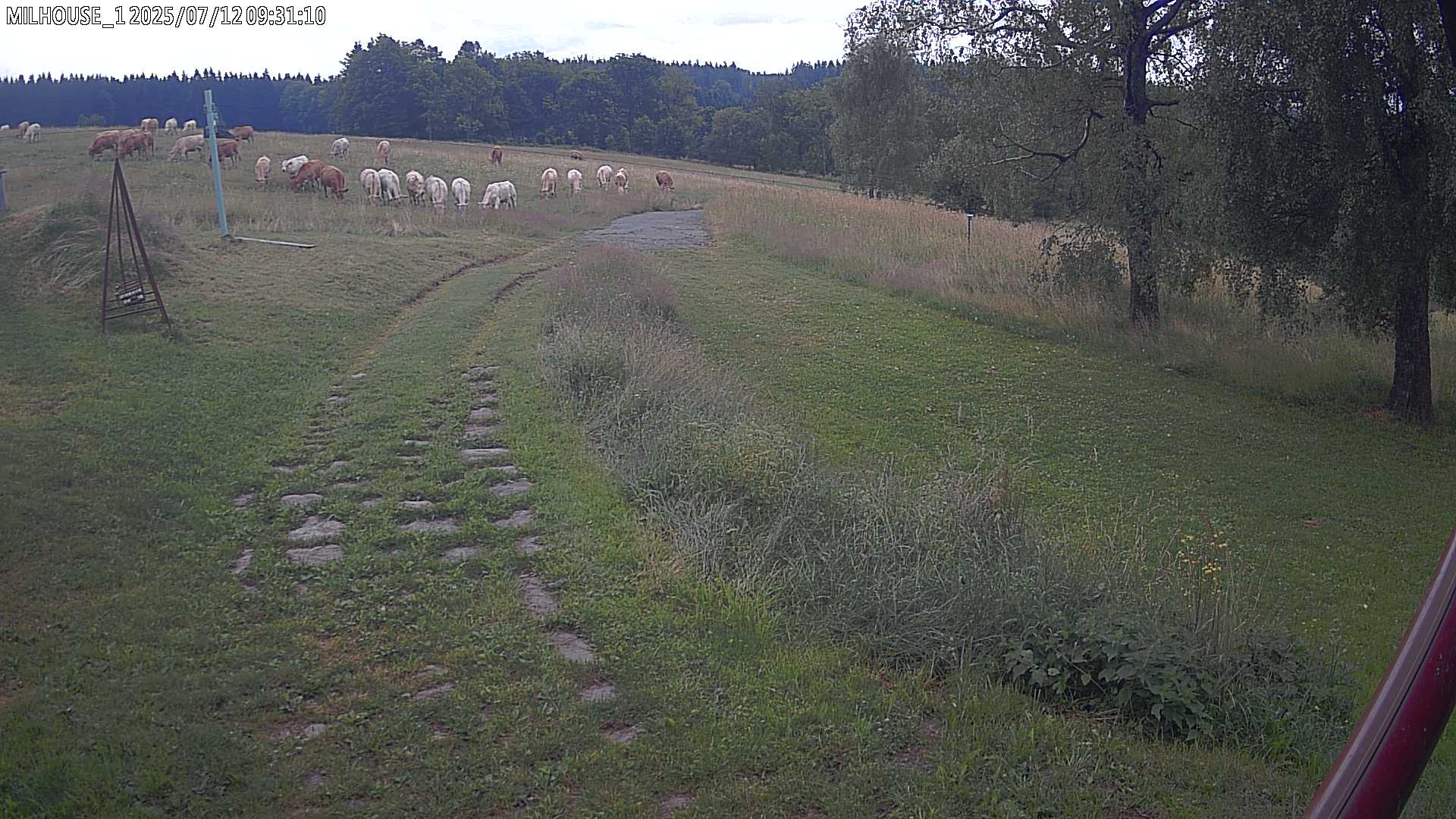 Aktuální stav ve Zdobnici