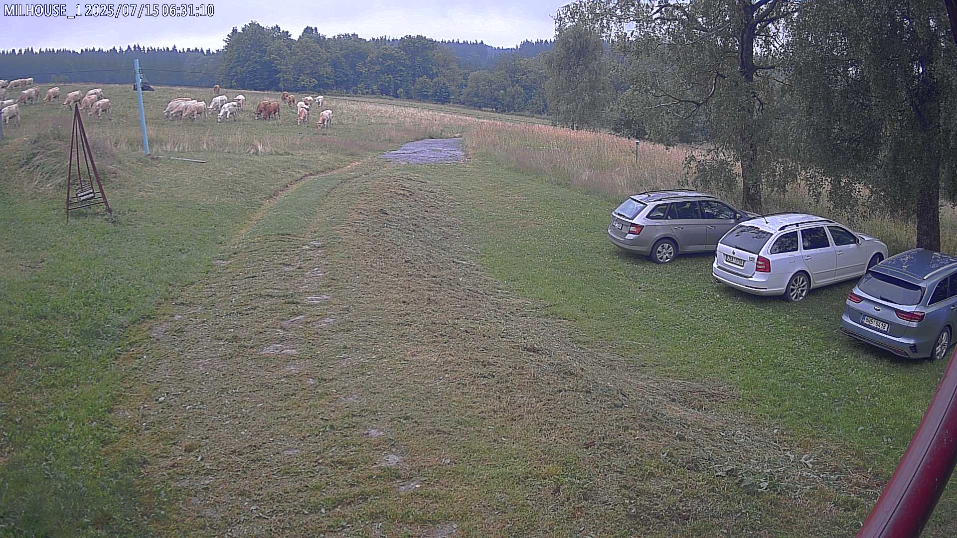 Fotka z 06:31