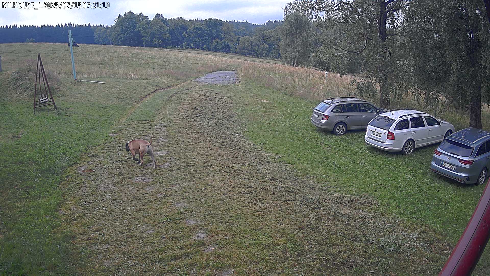 Fotka z 07:31