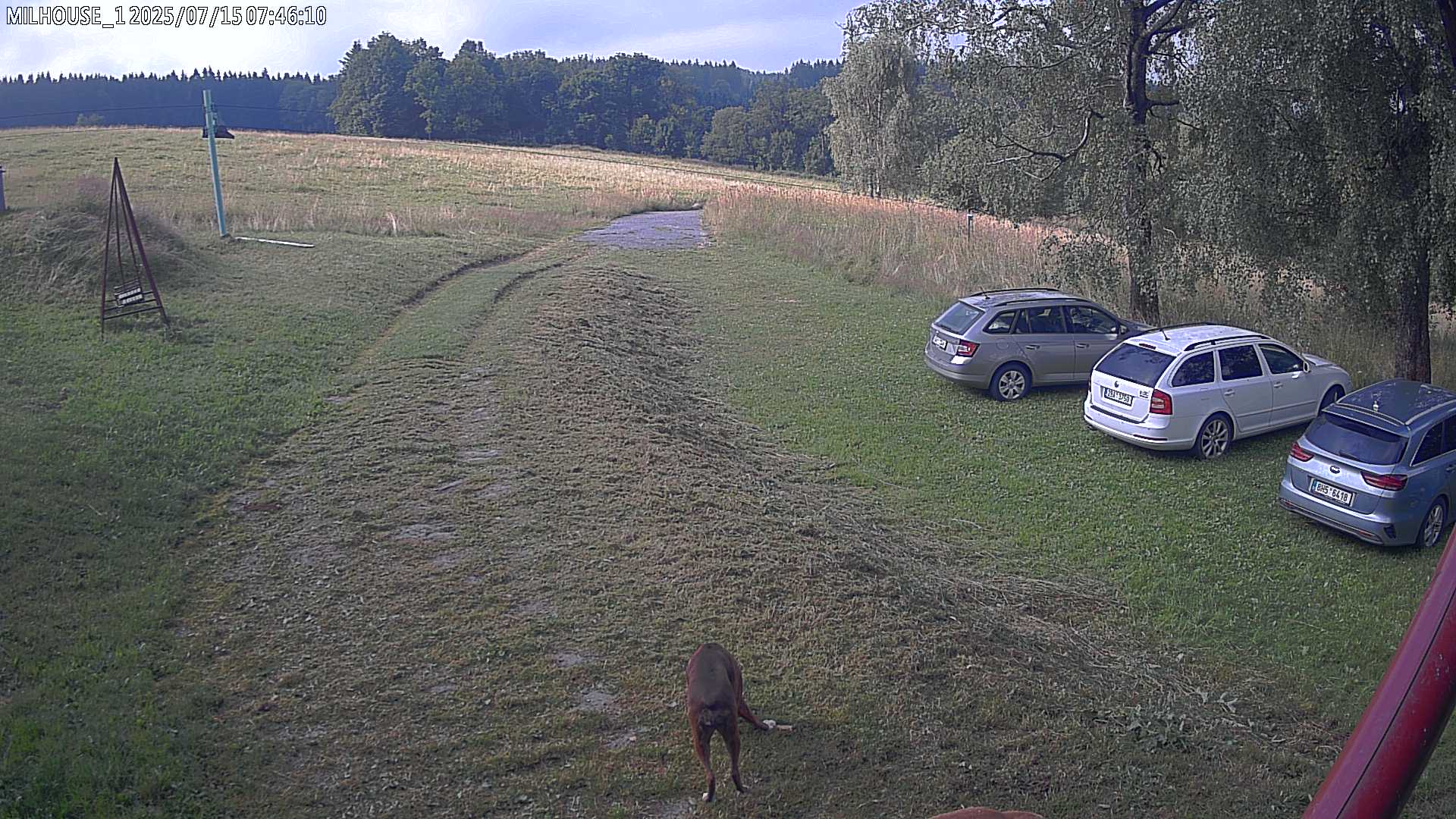 Fotka z 07:46