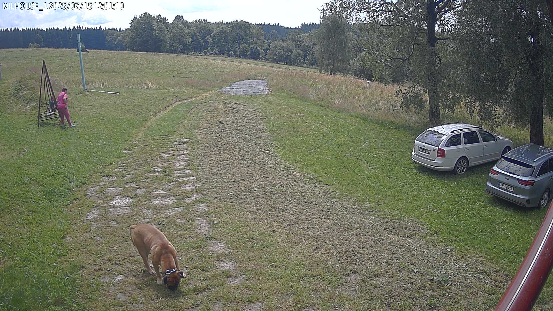 Fotka z 12:01