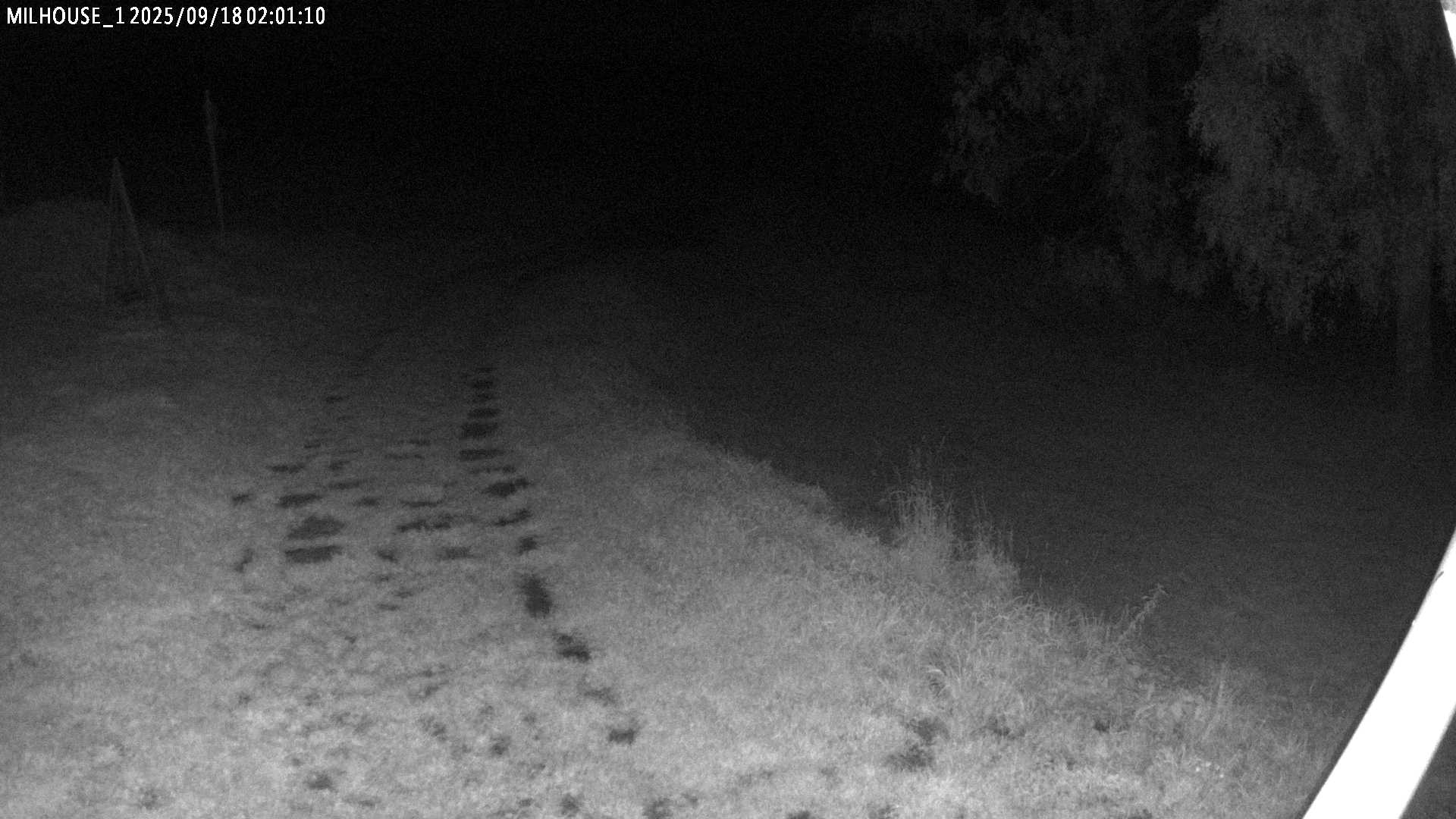 Fotka z 02:01