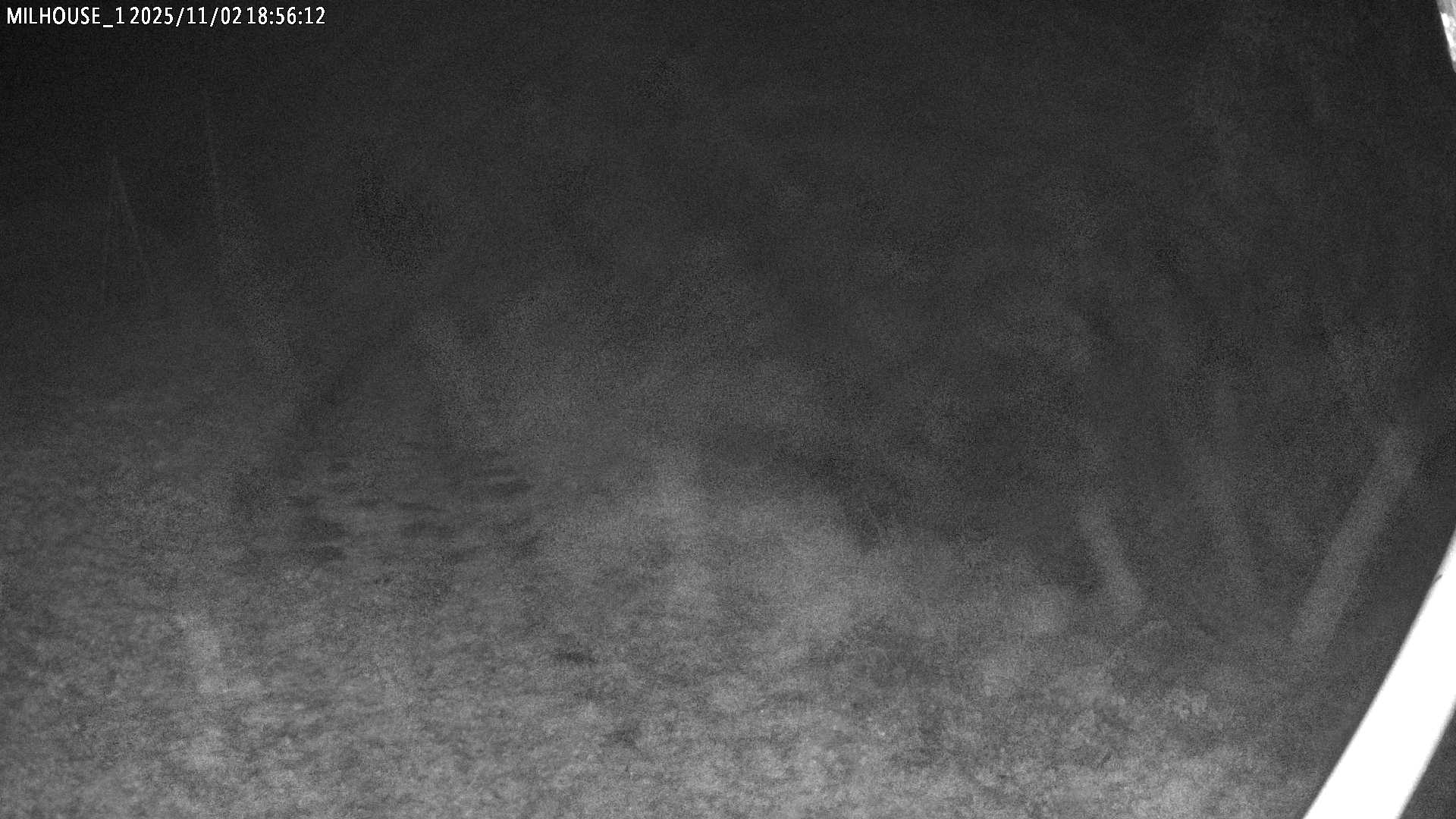 Aktuální stav ve Zdobnici