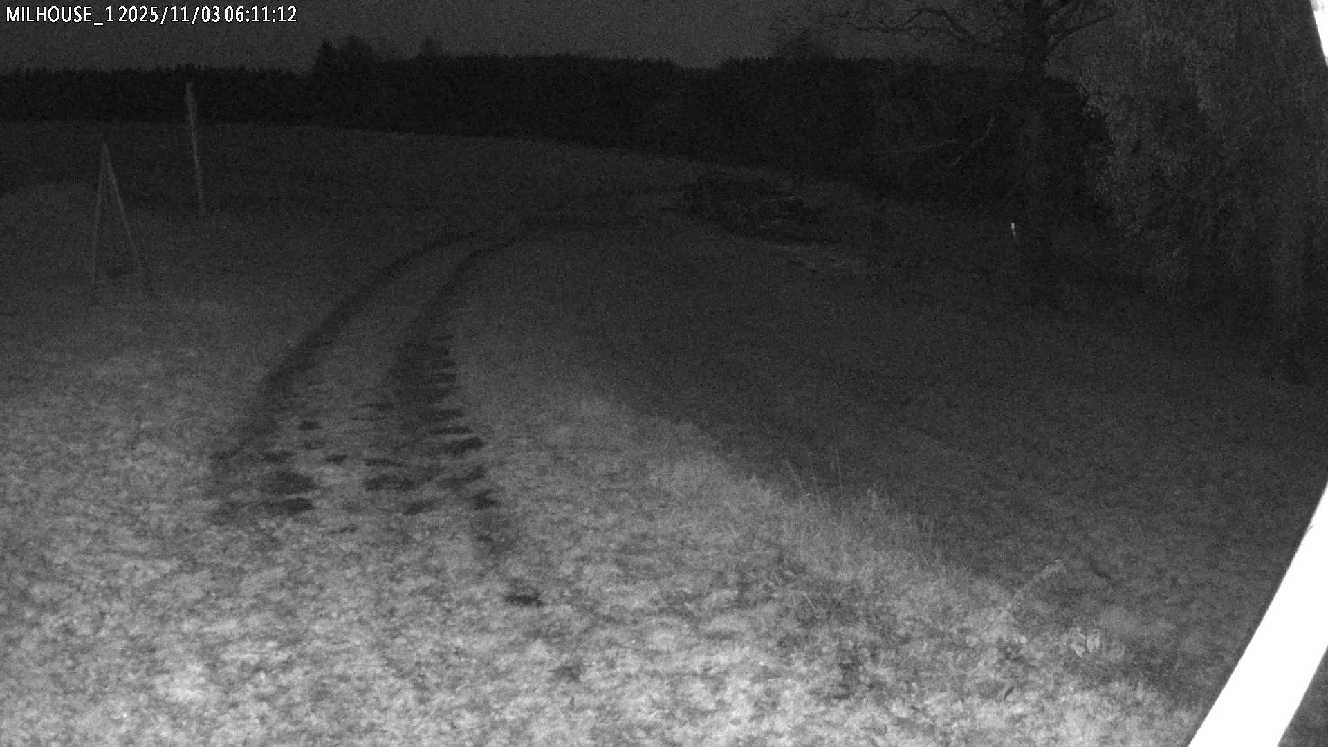 Aktuální stav ve Zdobnici