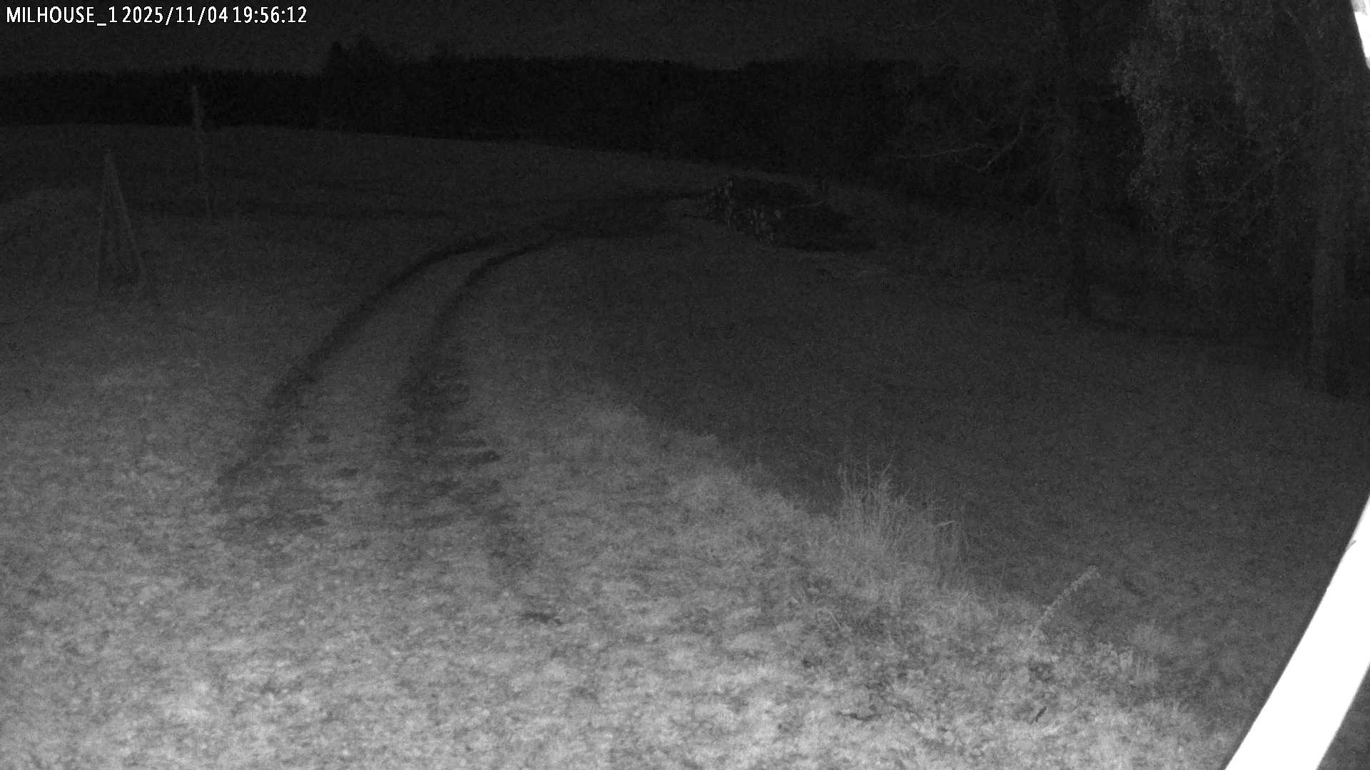 Aktuální stav ve Zdobnici