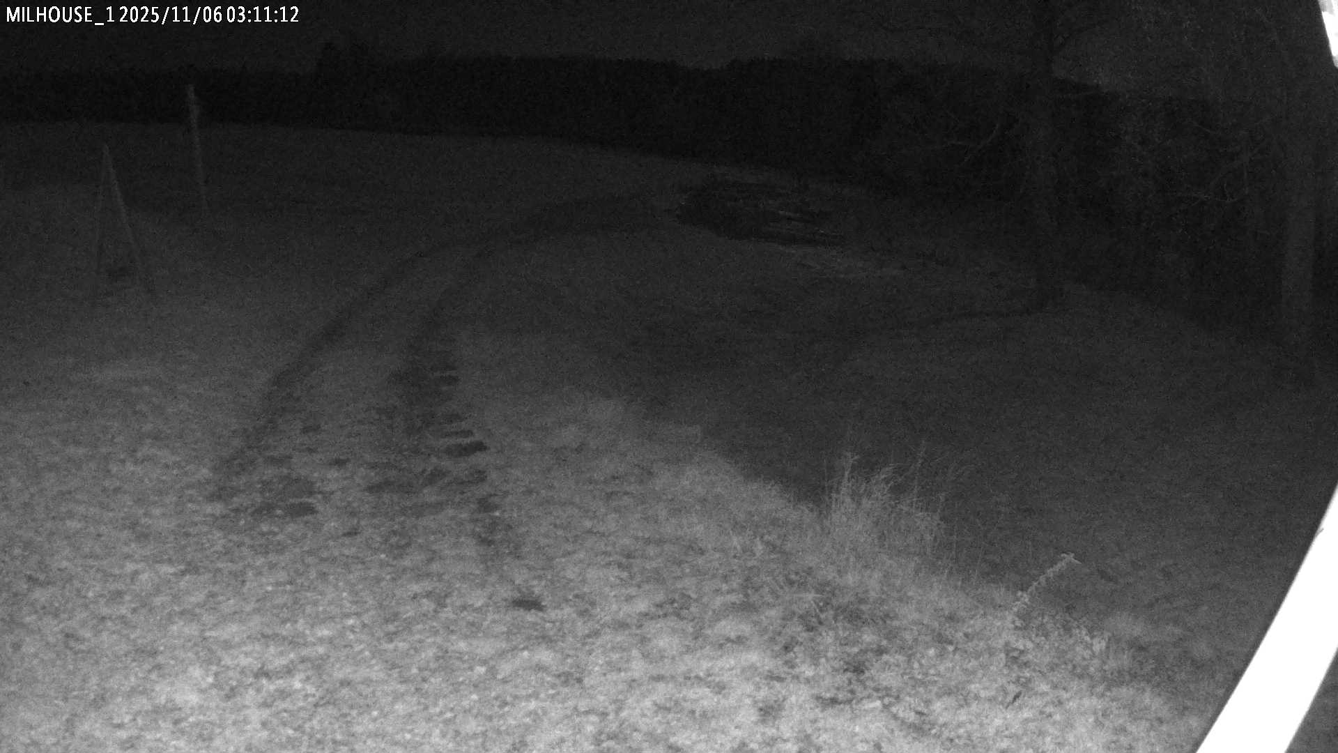 Aktuální stav ve Zdobnici