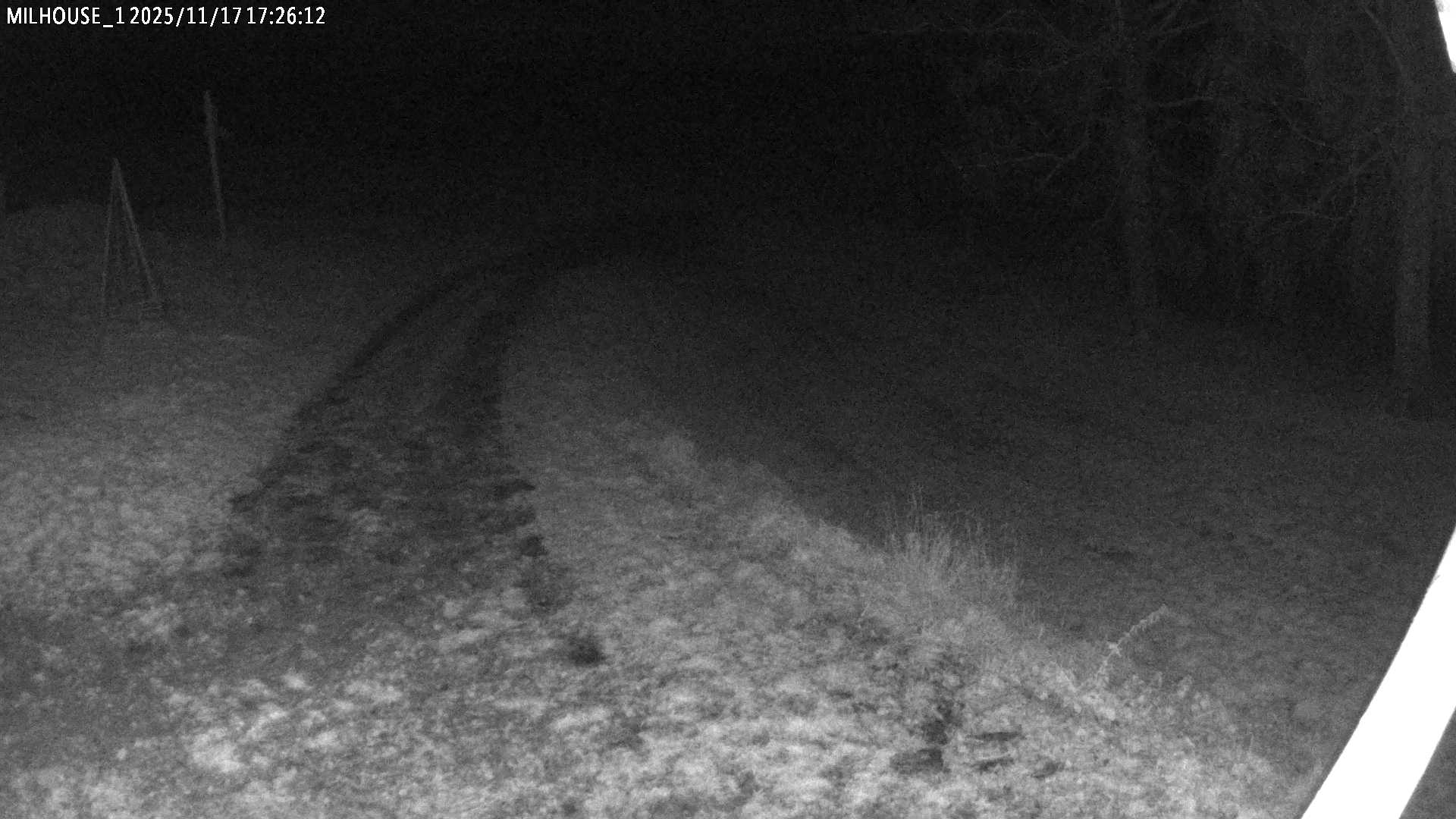 Aktuální stav ve Zdobnici