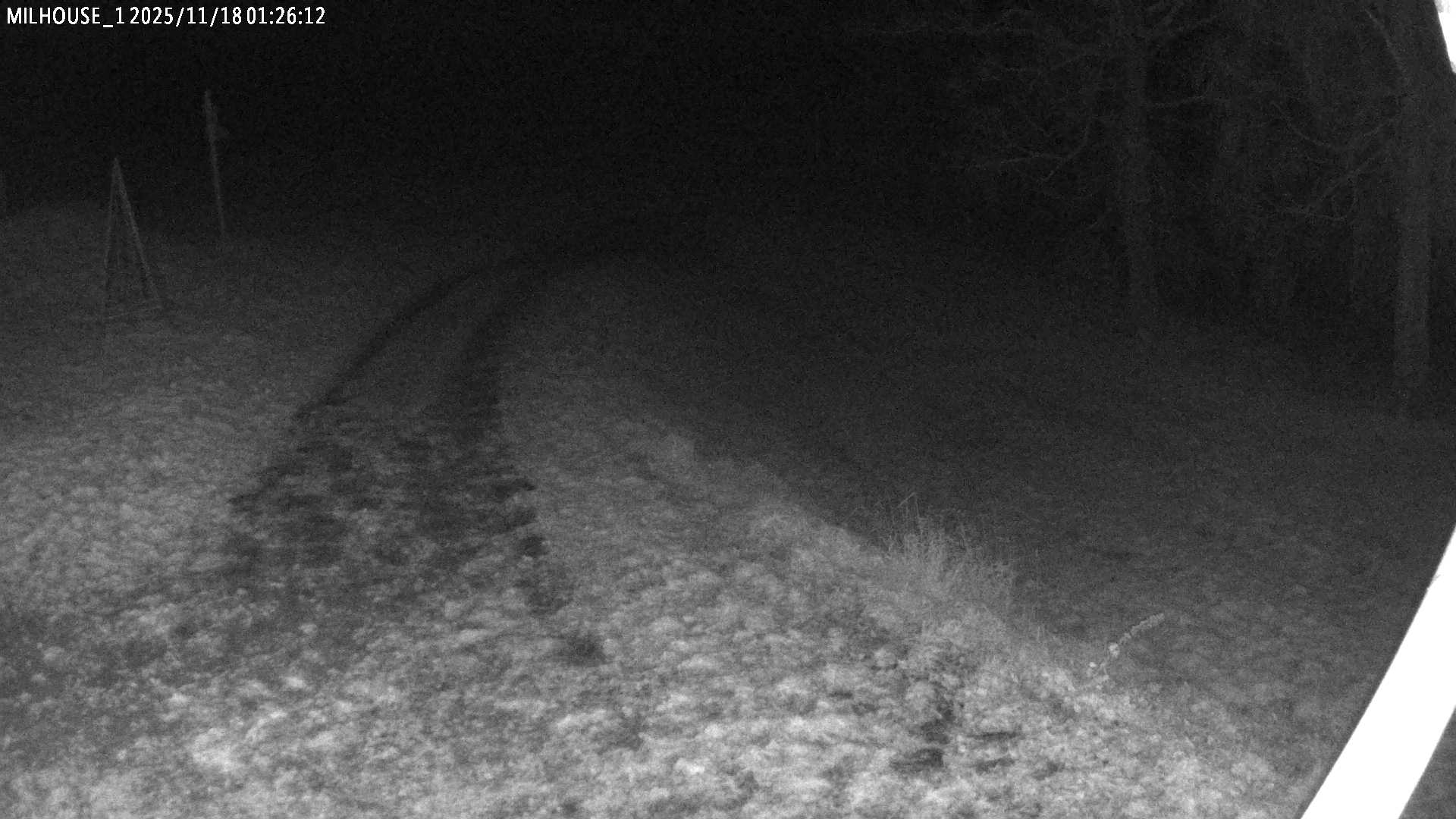 Aktuální stav ve Zdobnici