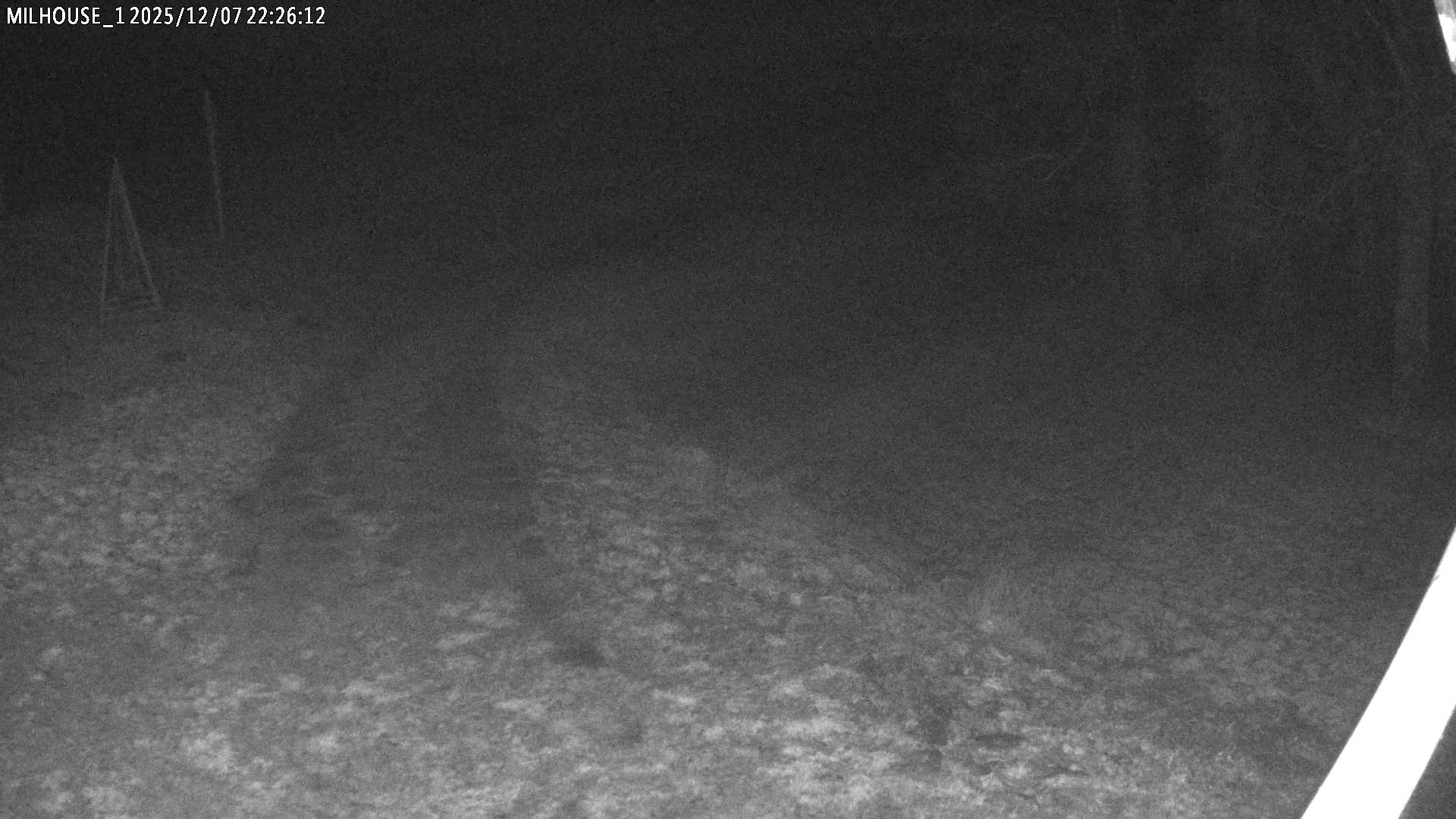 Aktuální stav ve Zdobnici