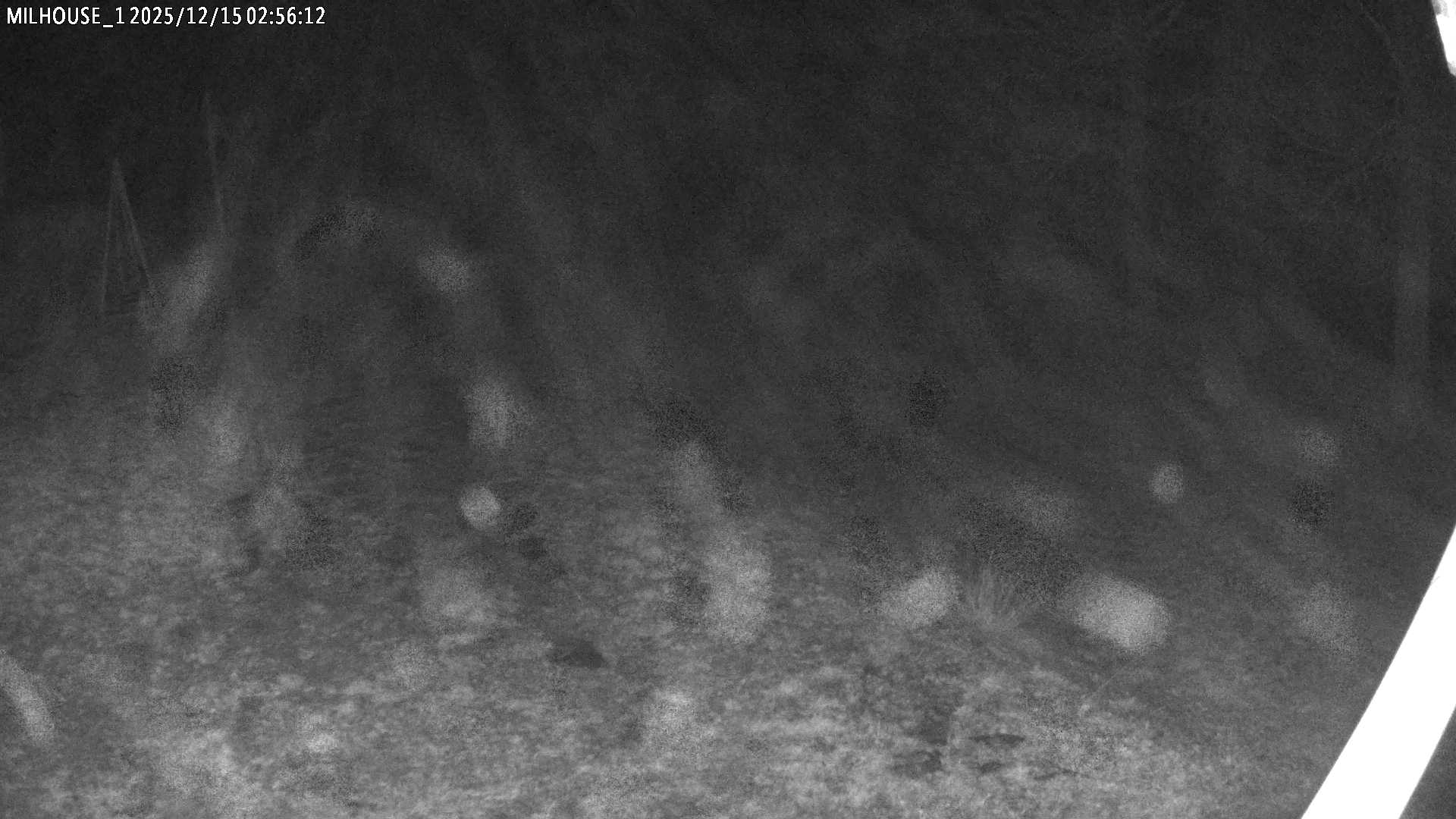 Aktuální stav ve Zdobnici