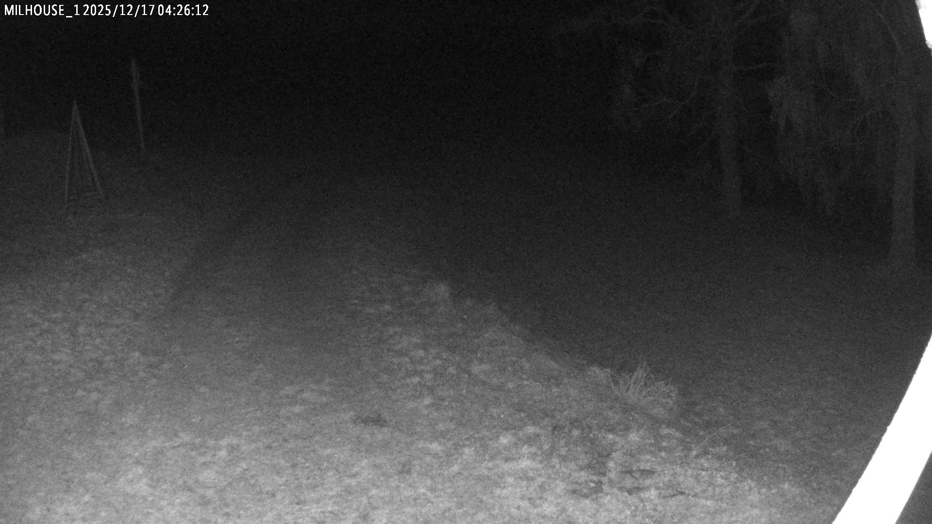 Aktuální stav ve Zdobnici