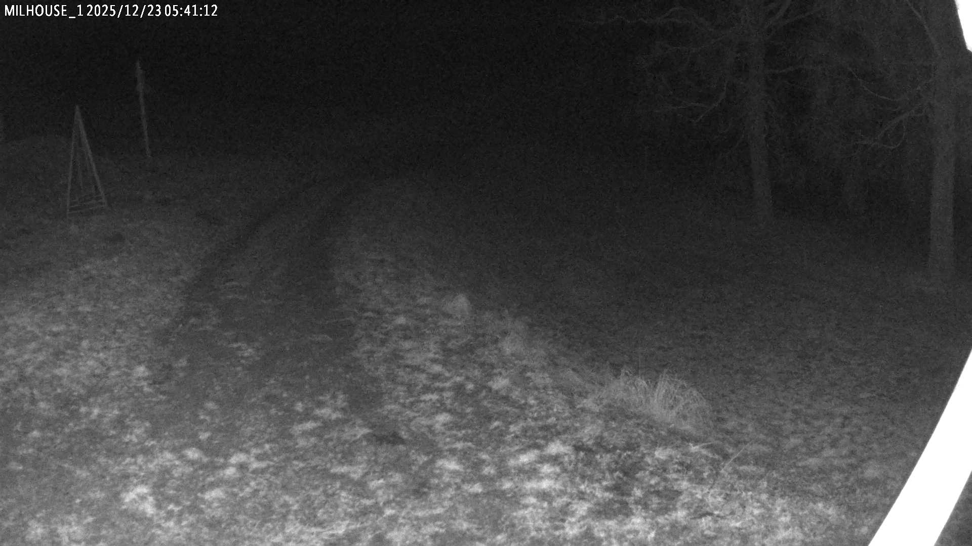 Aktuální stav ve Zdobnici