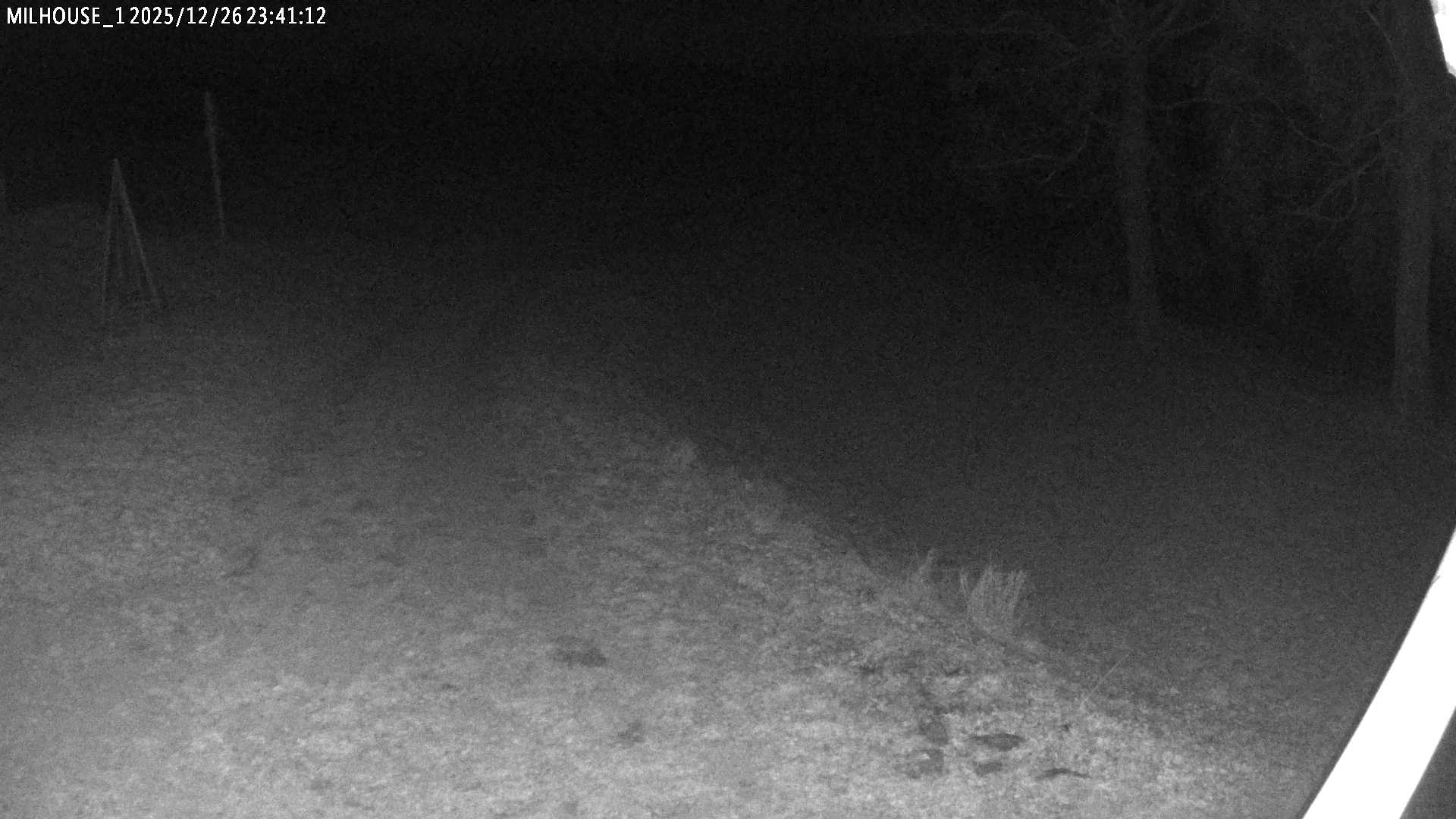 Aktuální stav ve Zdobnici