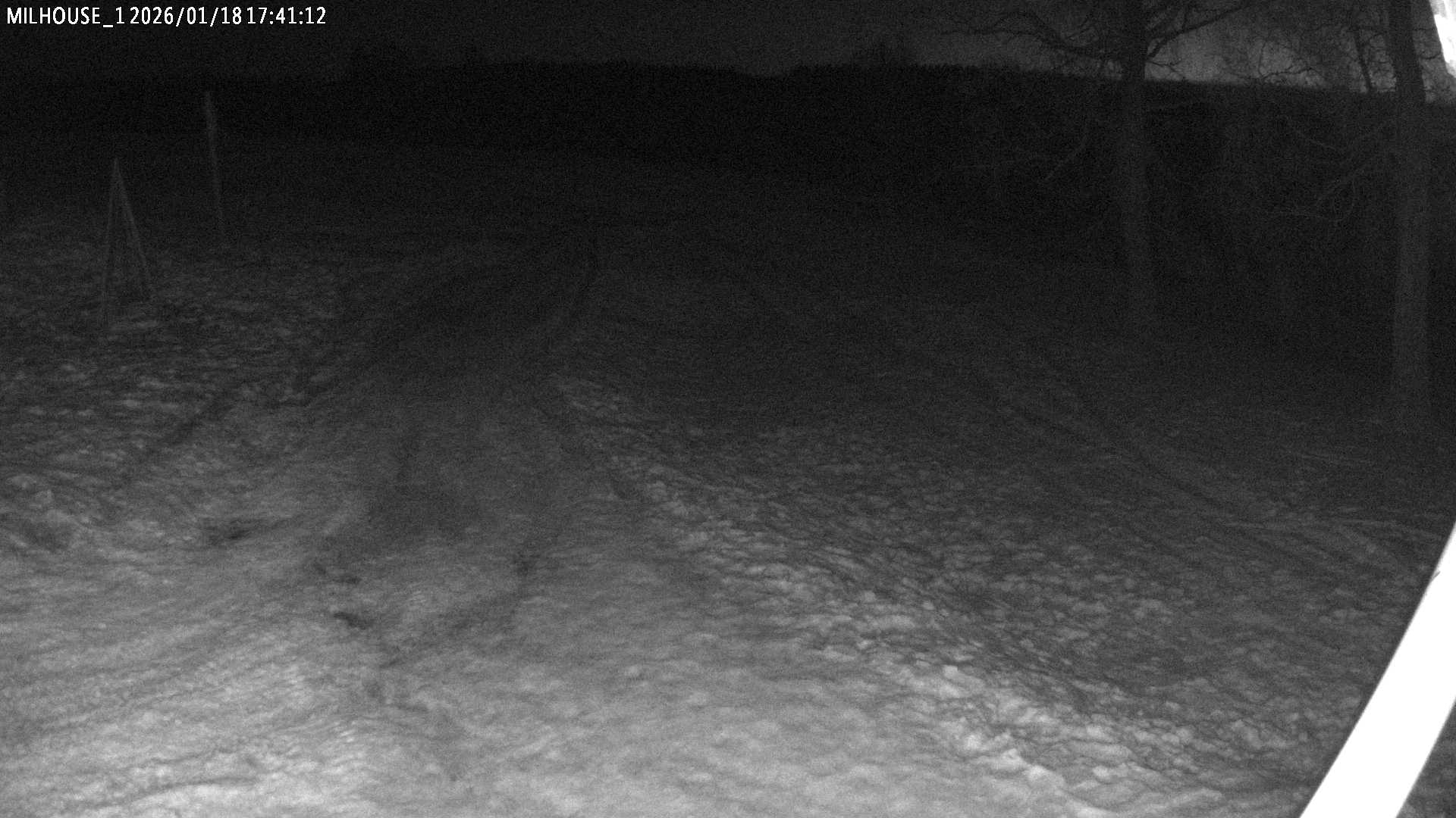 Aktuální stav ve Zdobnici