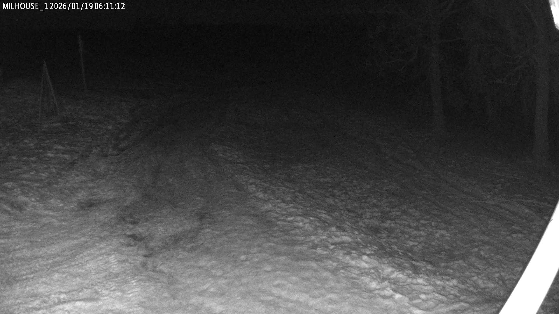 Aktuální stav ve Zdobnici