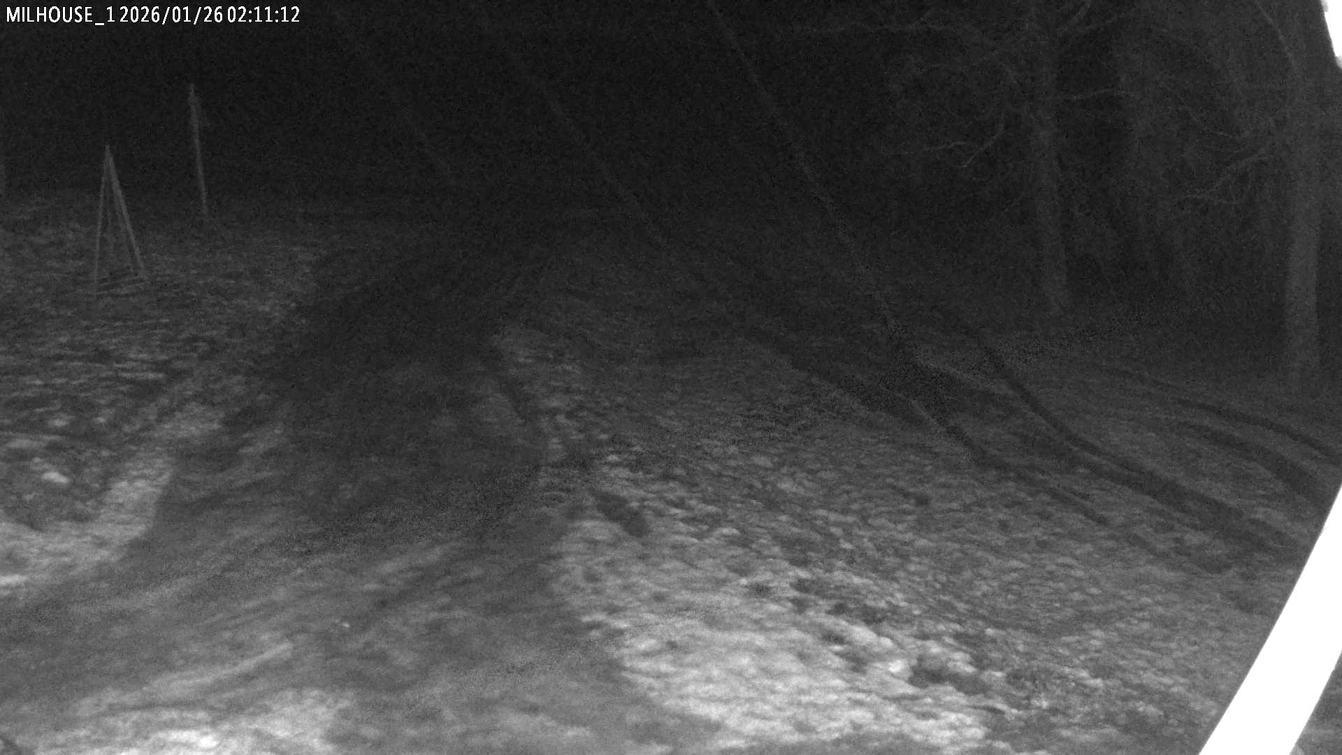 Aktuální stav ve Zdobnici