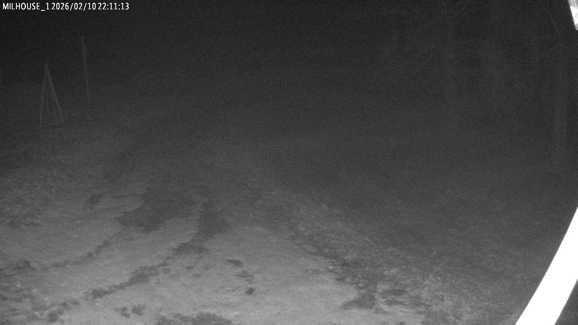 Aktuální stav ve Zdobnici