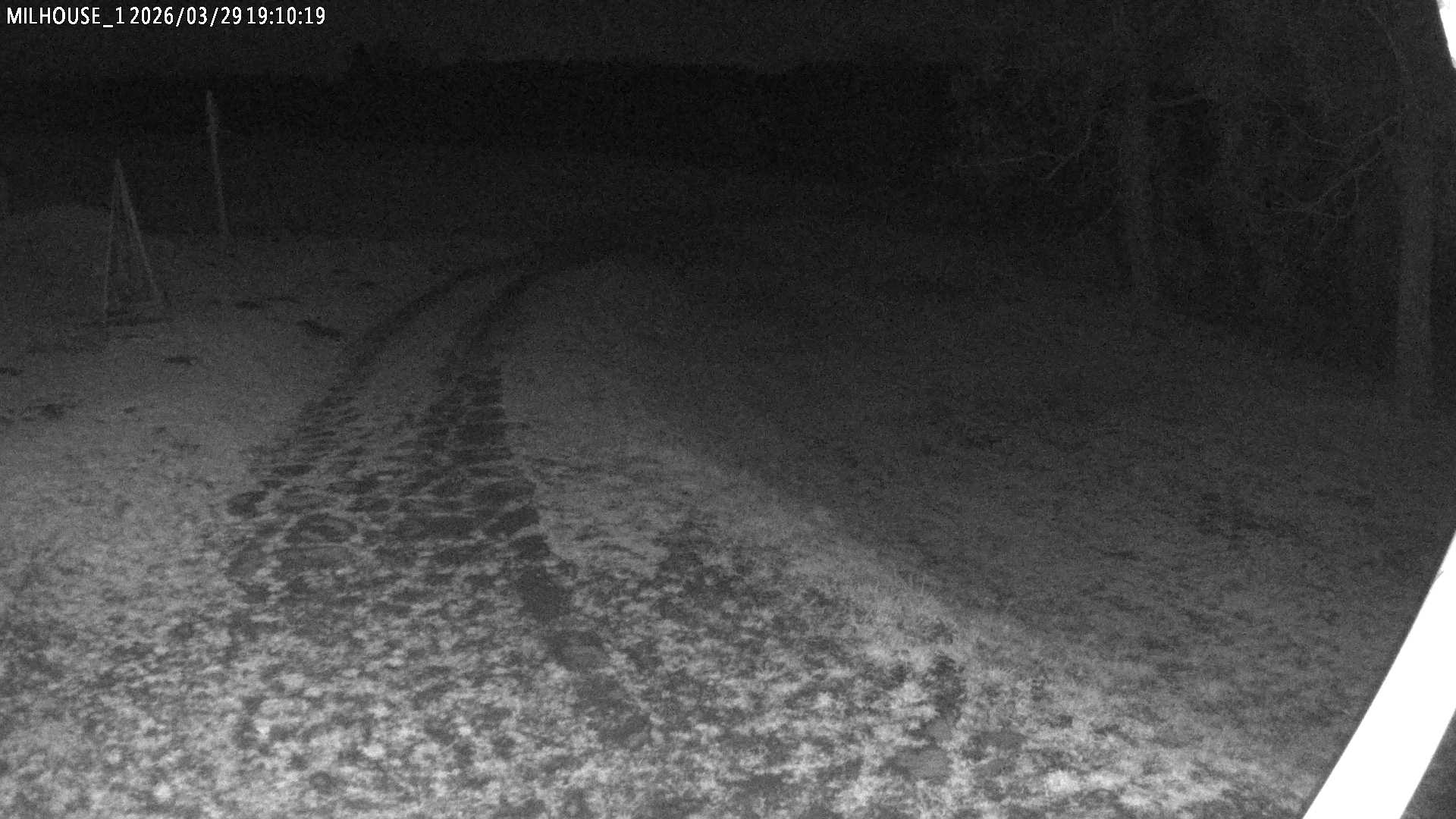 Aktuální stav ve Zdobnici