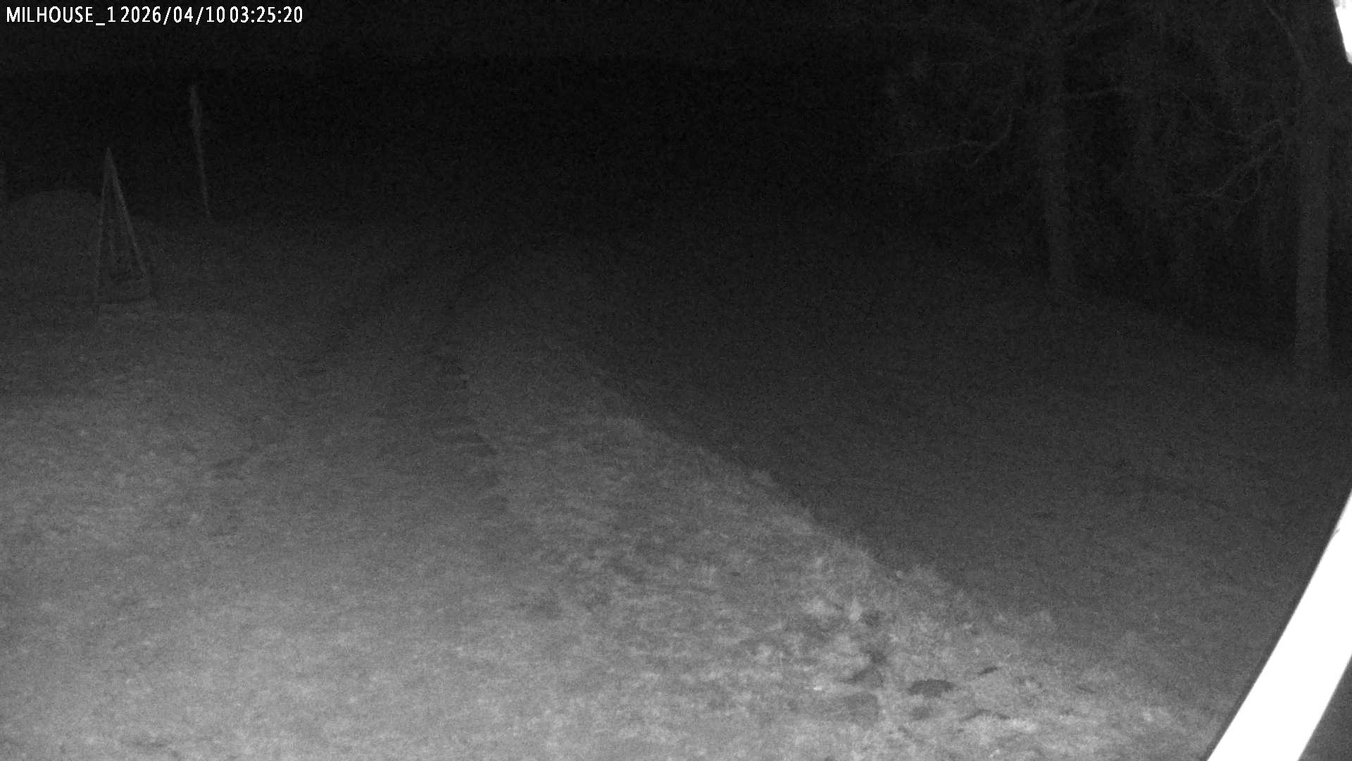 Fotka z 03:25