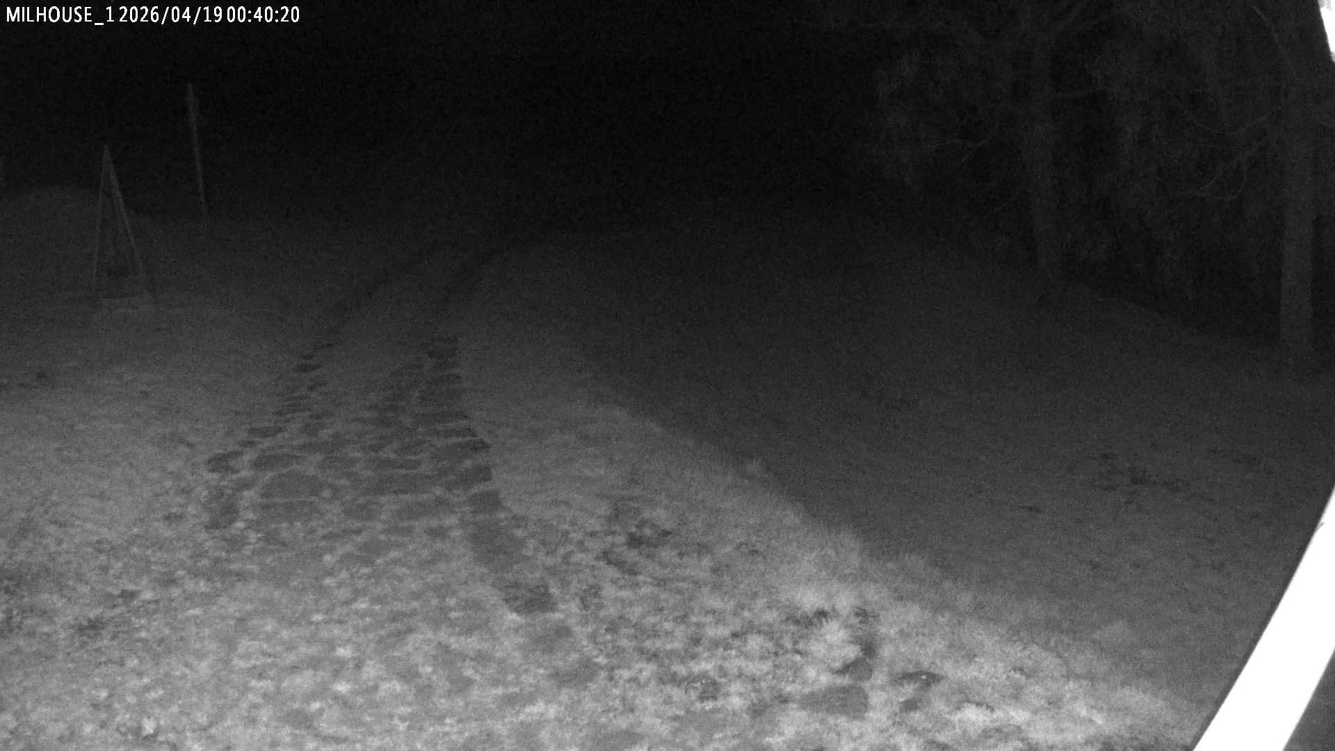 Aktuální stav ve Zdobnici