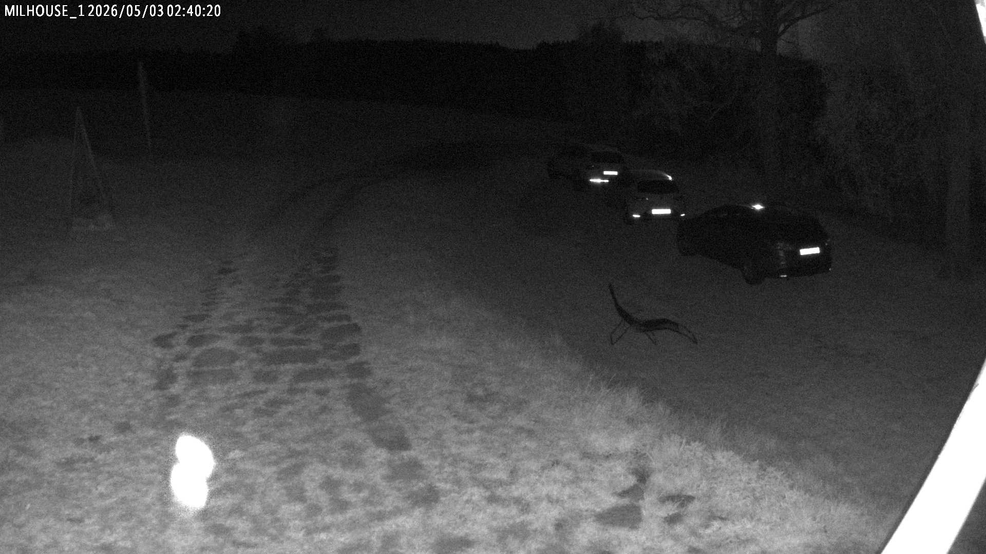 Fotka z 02:40