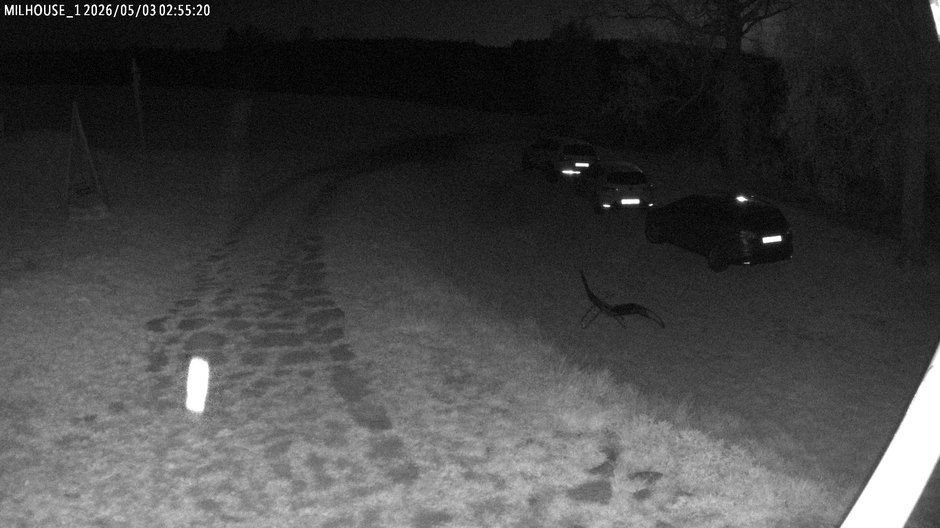 Fotka z 02:55