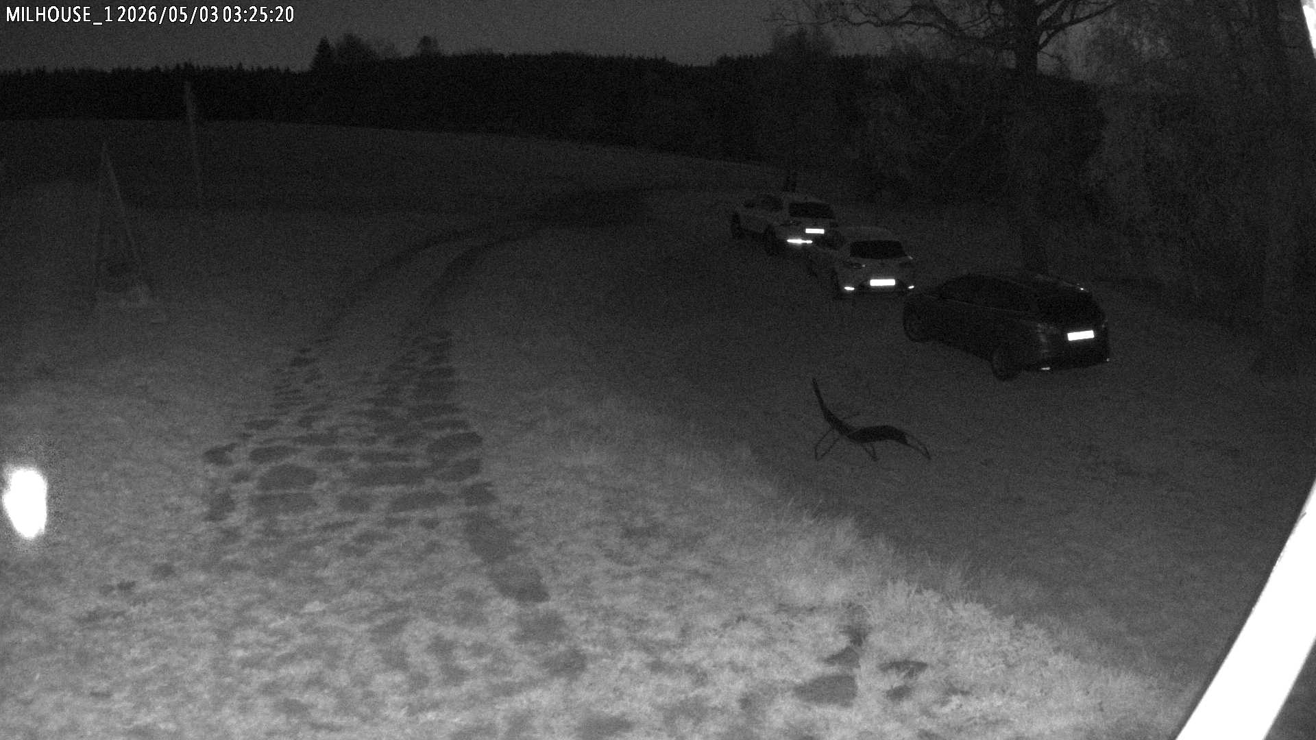 Fotka z 03:25