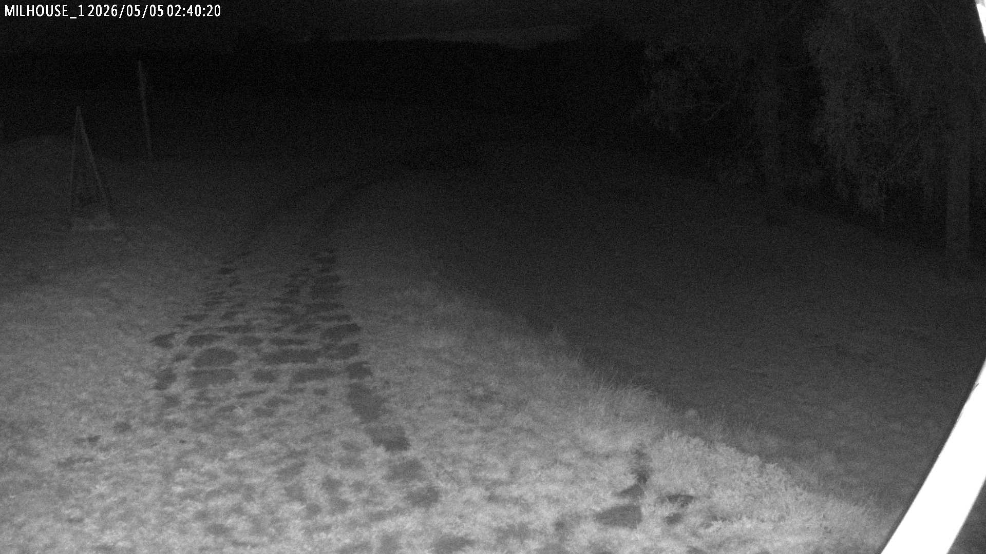 Fotka z 02:40