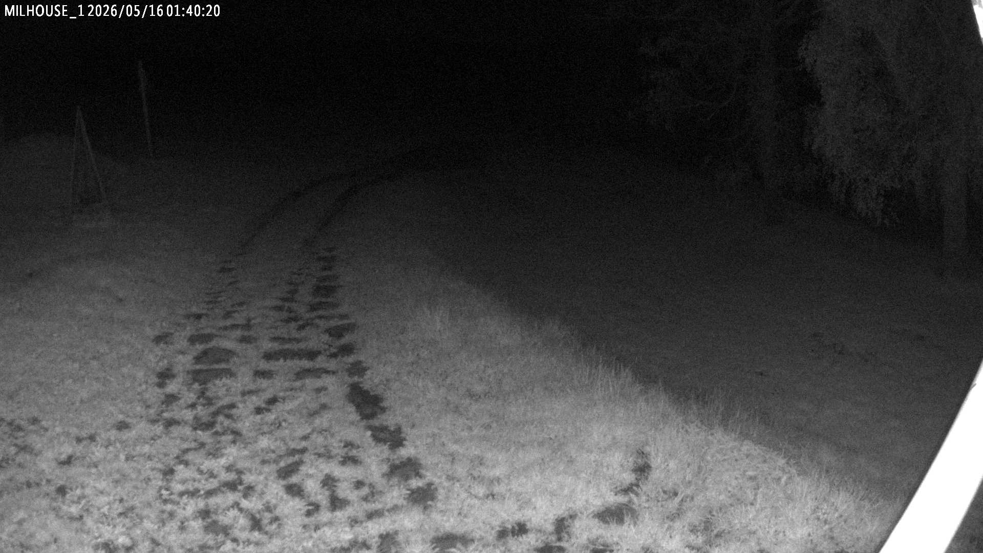 Fotka z 01:40