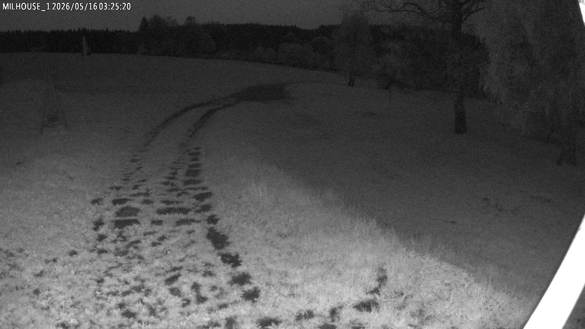Fotka z 03:25