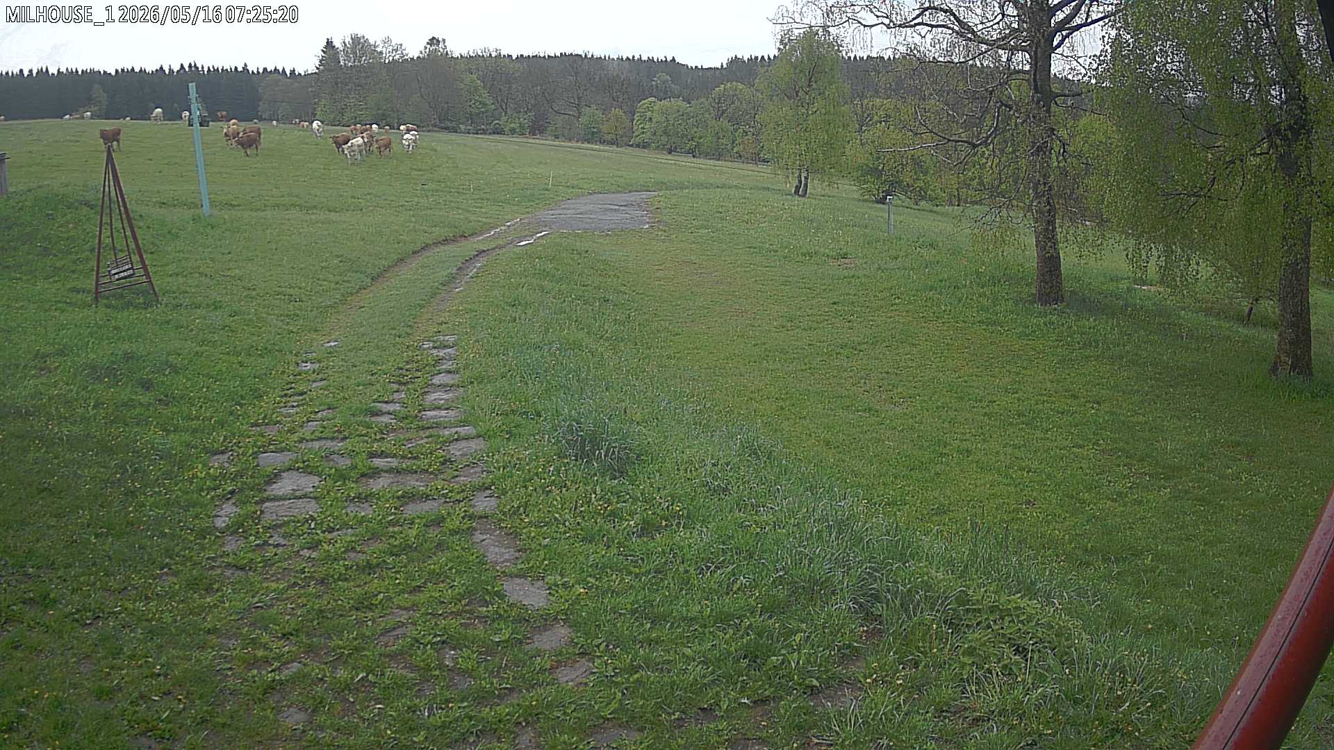 Fotka z 07:25