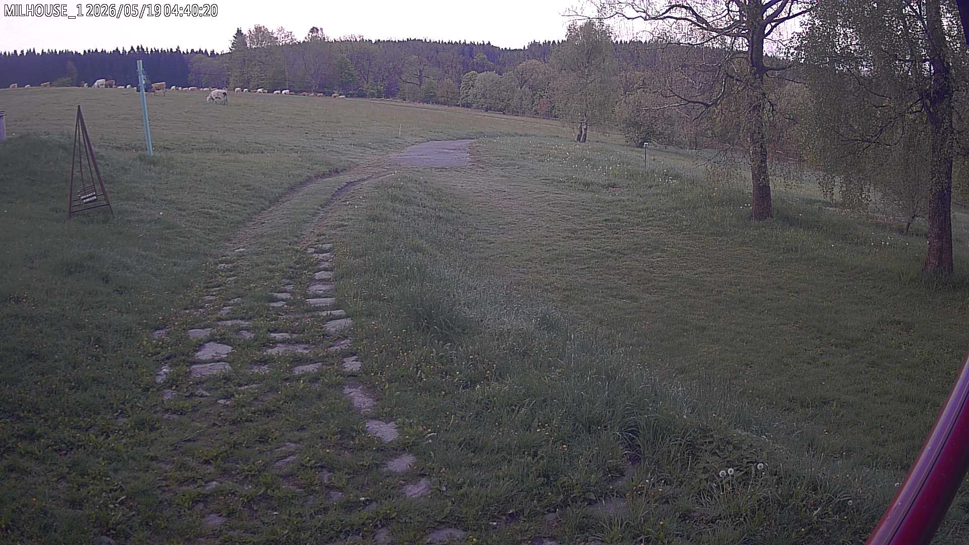 Aktuální stav ve Zdobnici