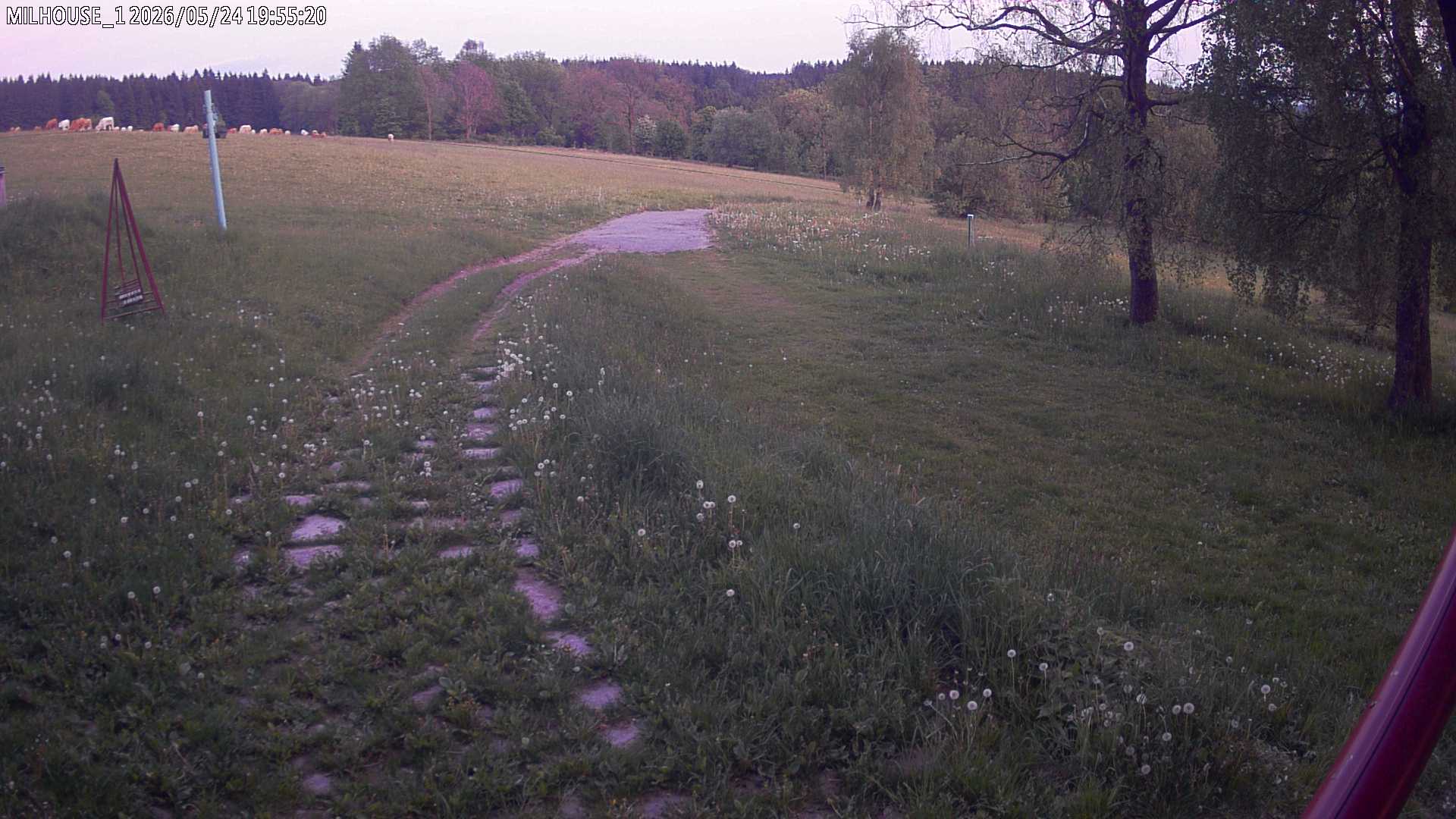 Aktuální stav ve Zdobnici