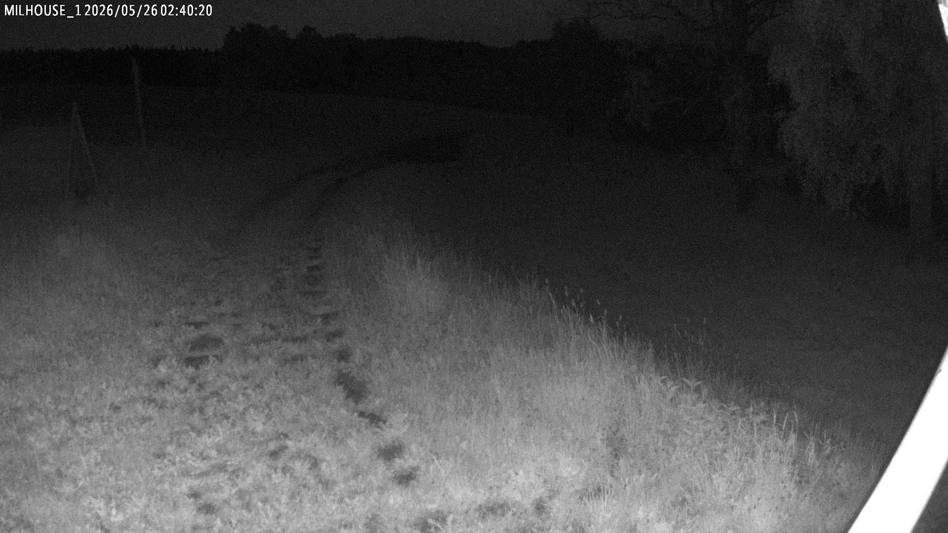 Fotka z 02:40