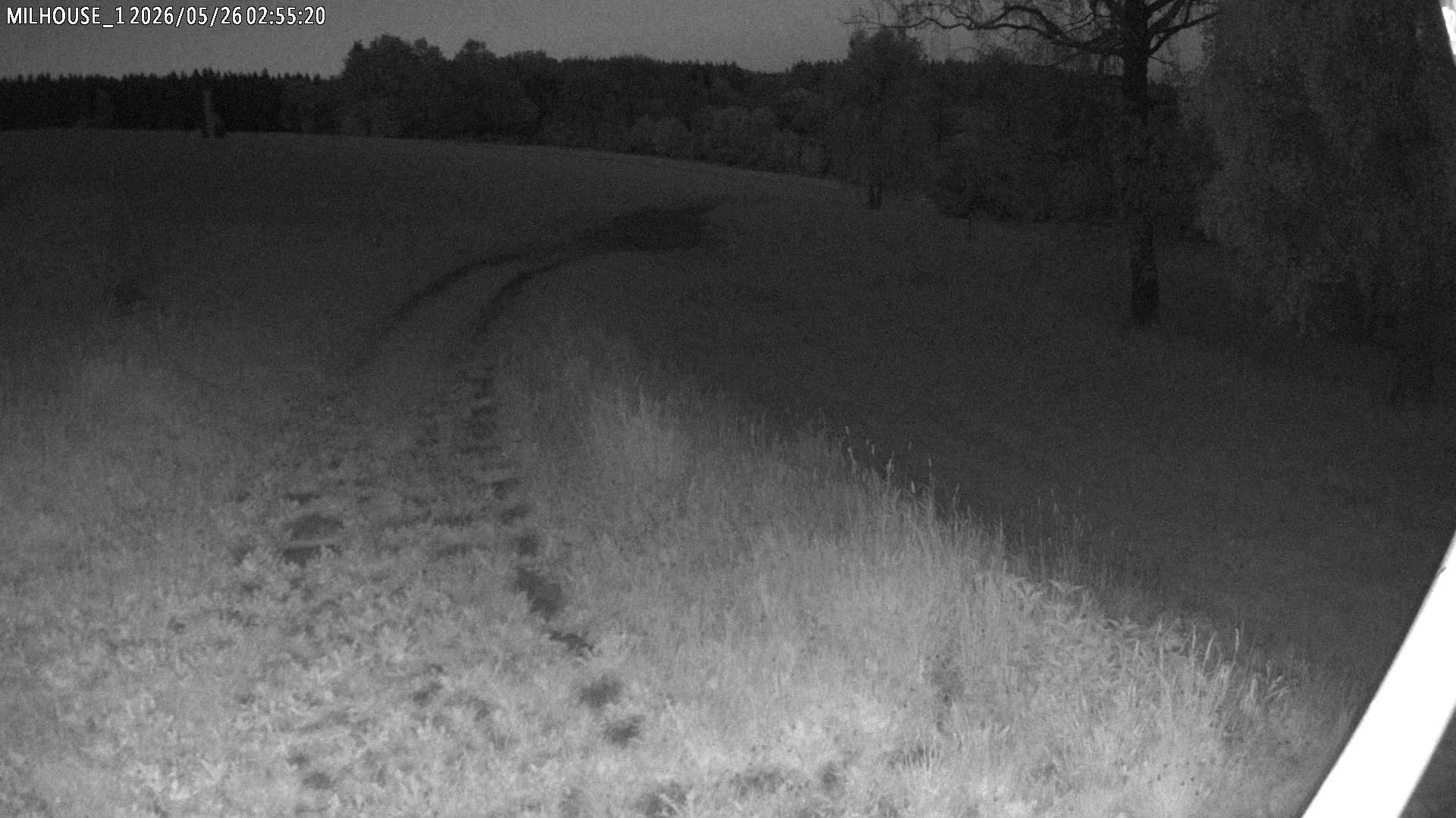 Fotka z 02:55