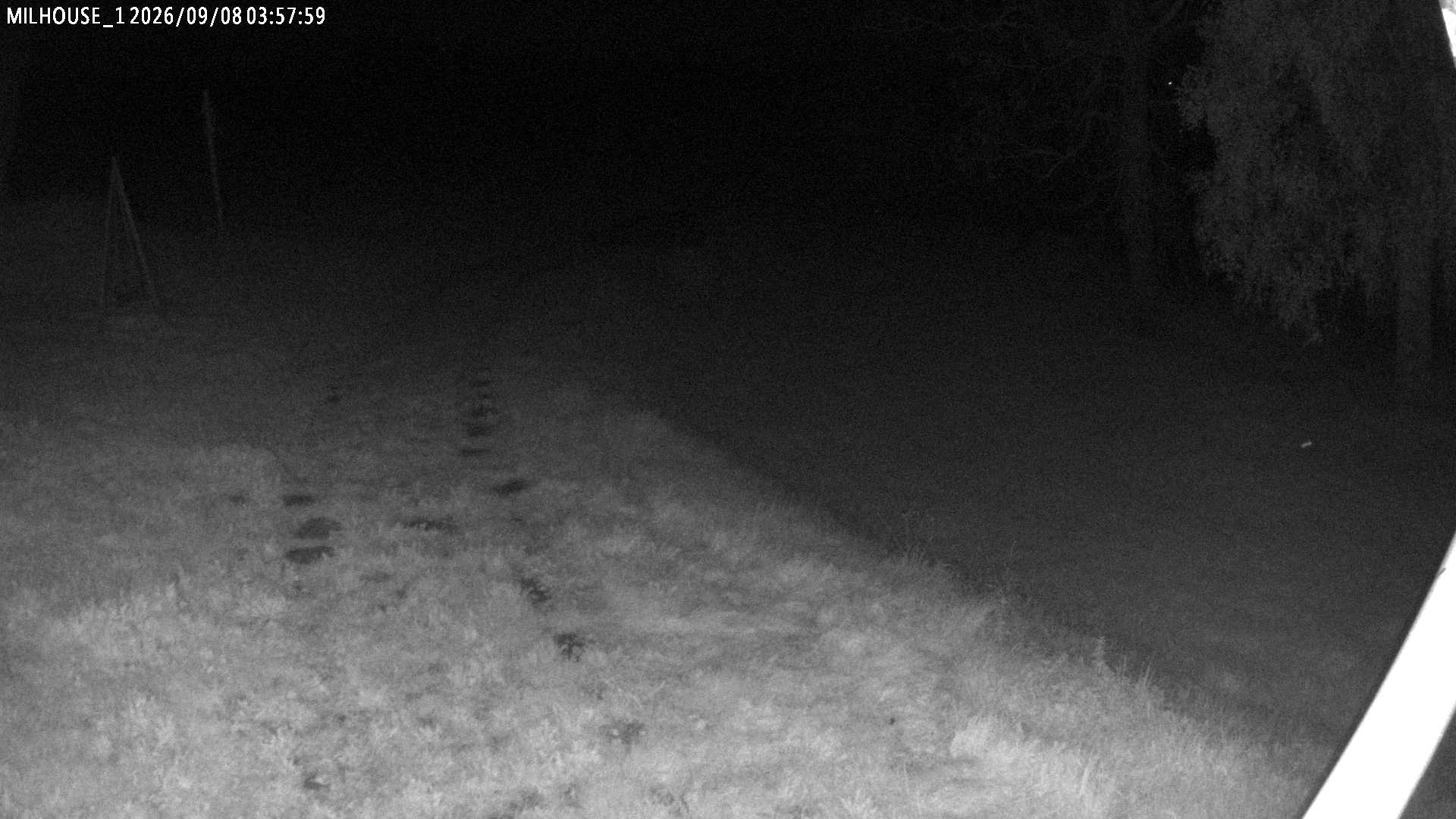 Fotka z 03:57