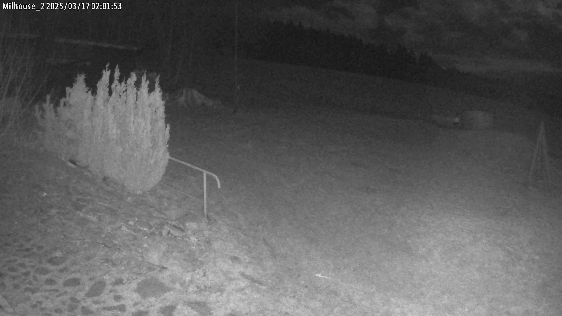 Fotka z 02:01