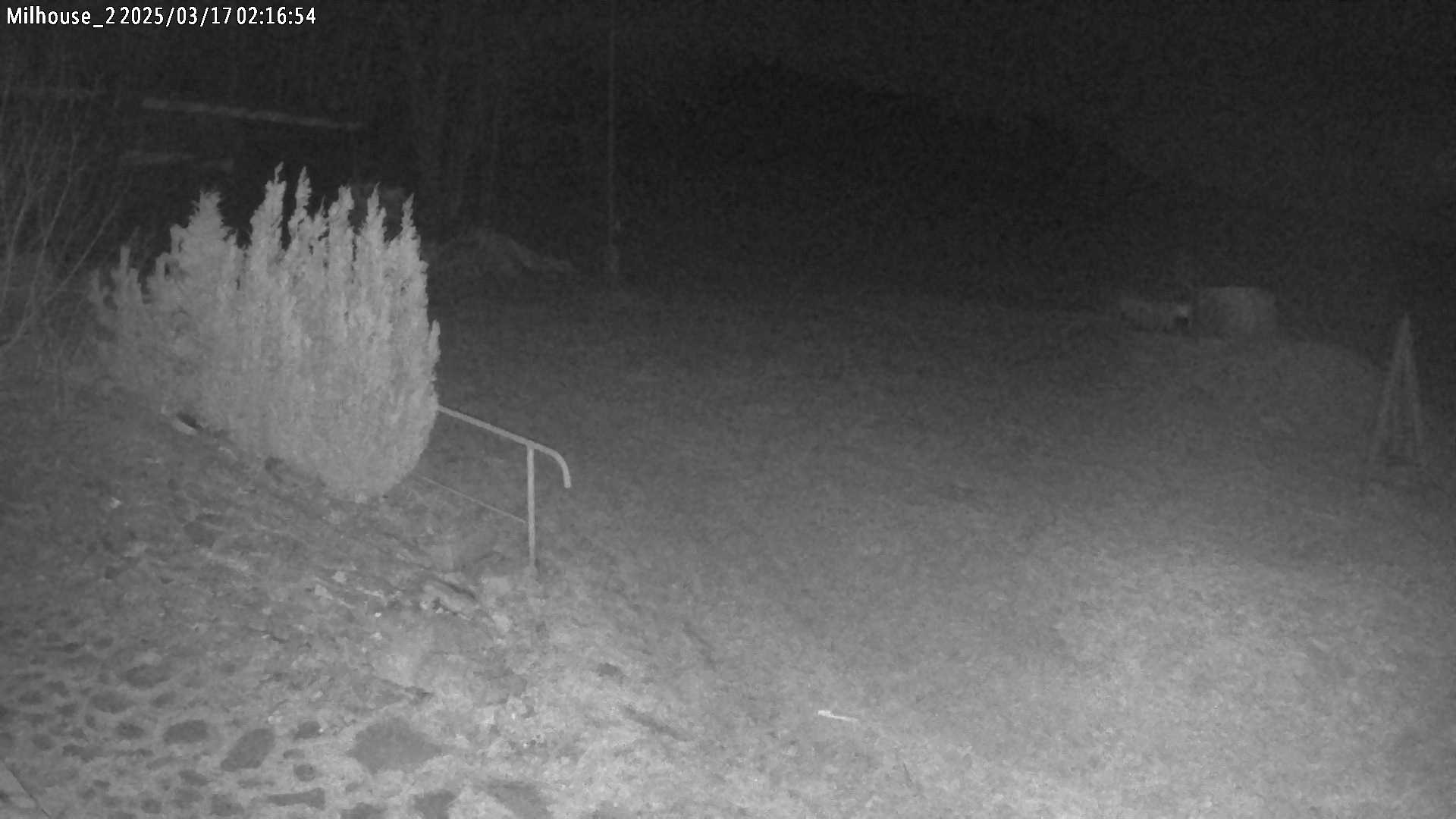 Fotka z 02:16