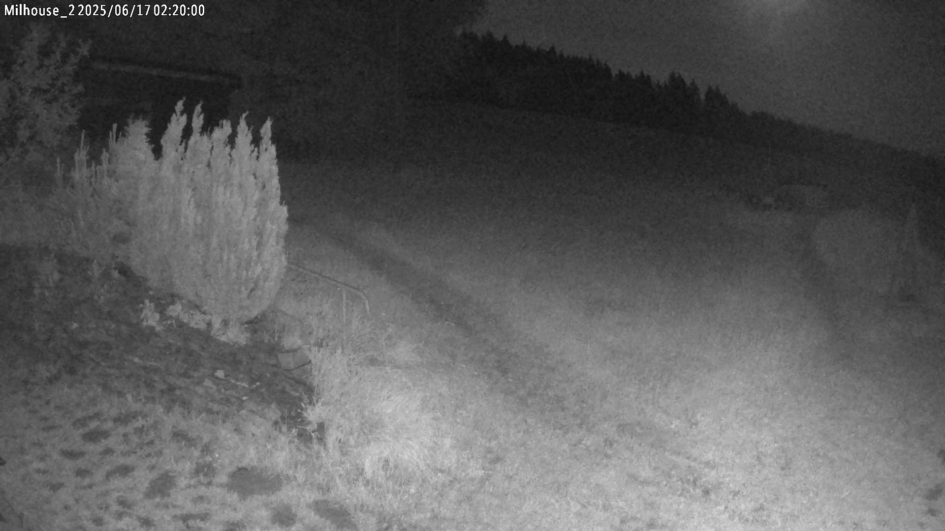 Aktuální stav ve Zdobnici