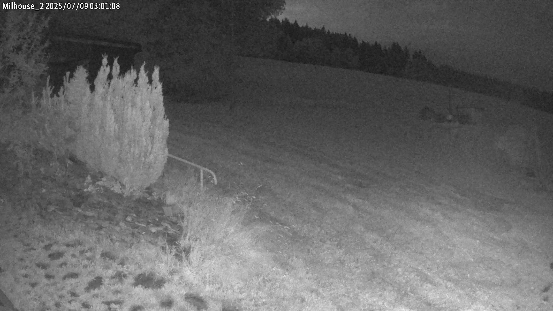 Fotka z 03:01
