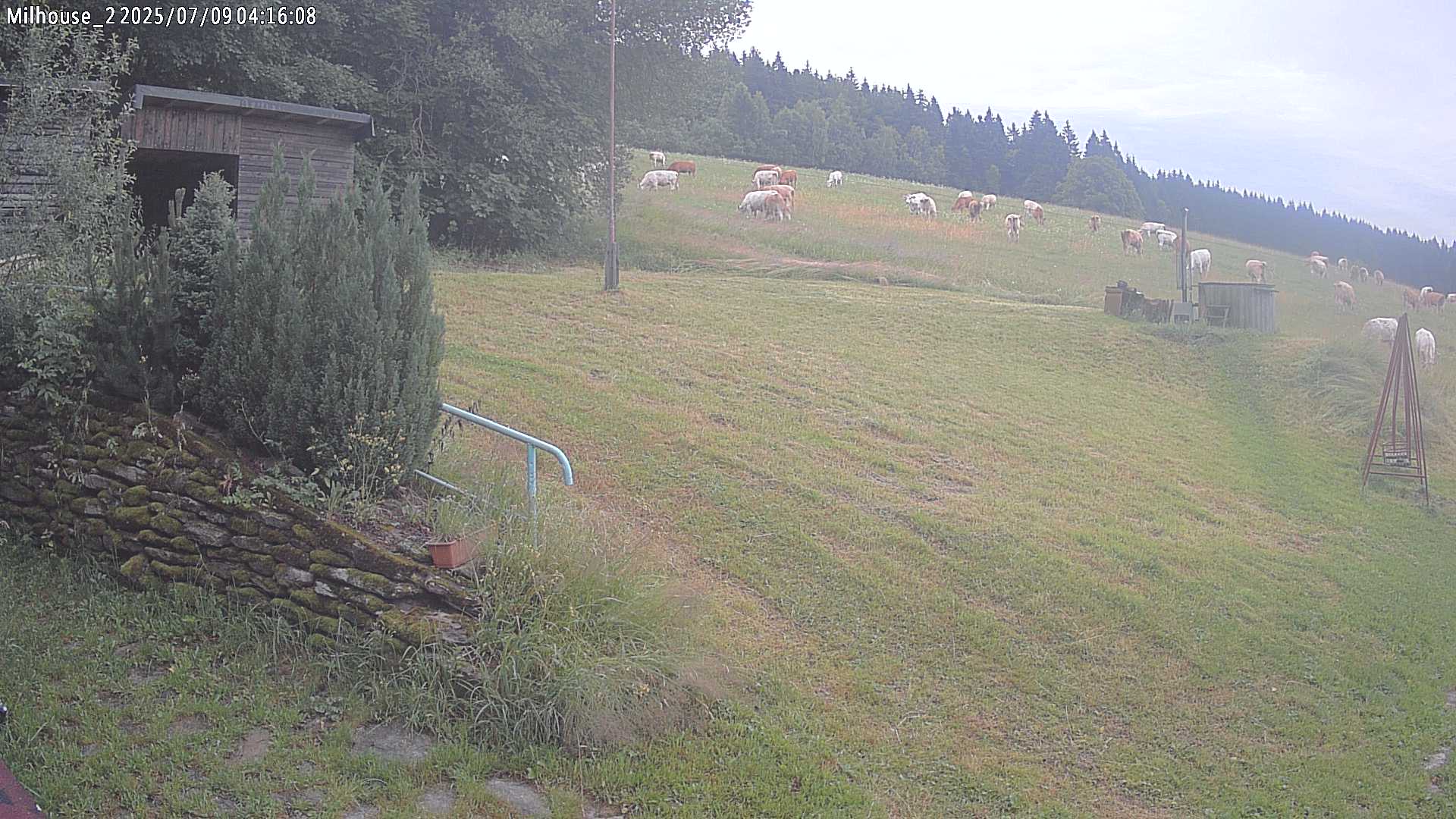 Fotka z 04:16