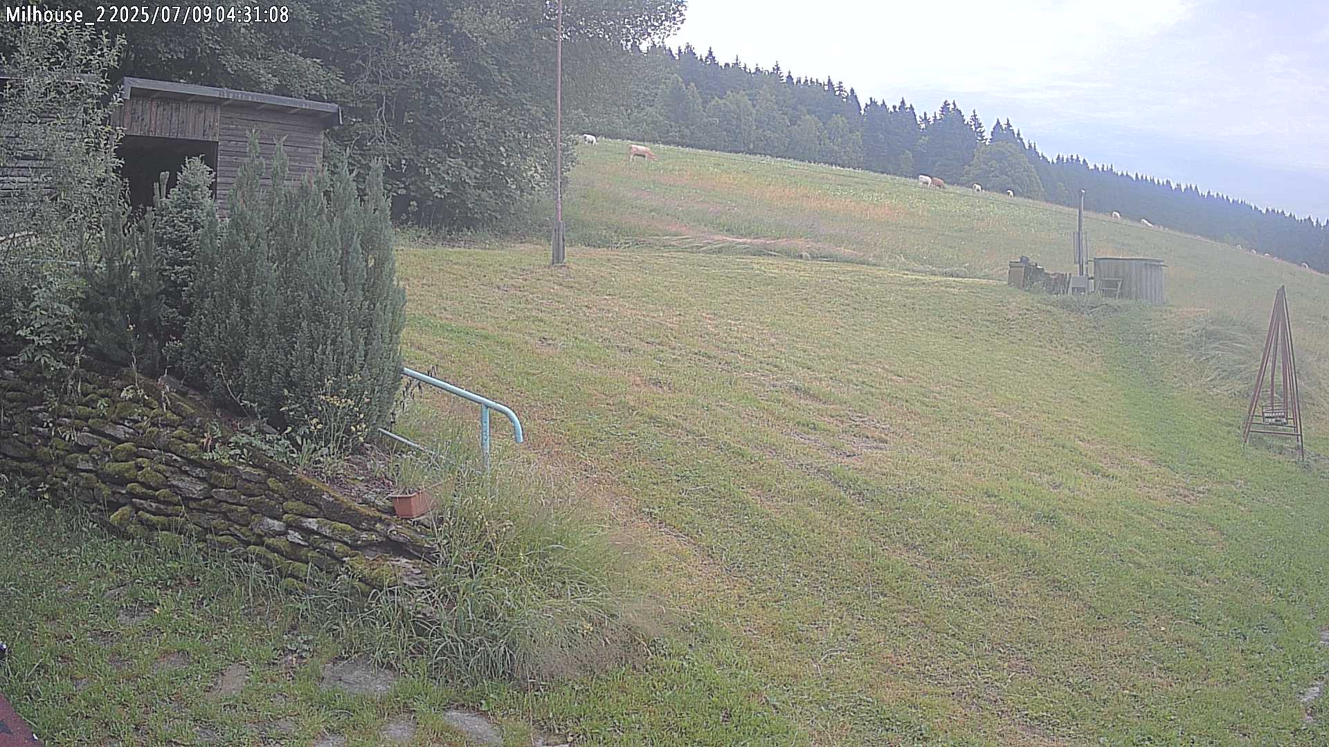 Fotka z 04:31