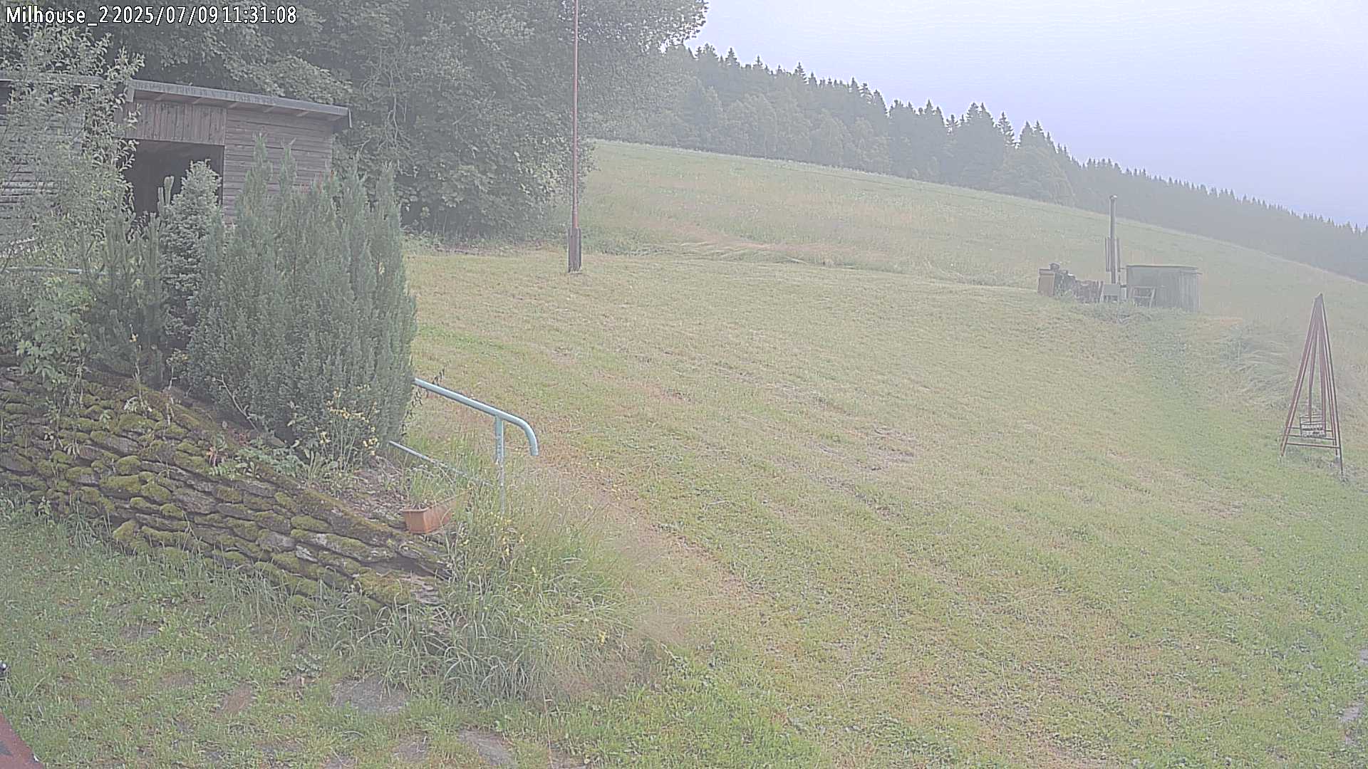 Fotka z 11:31