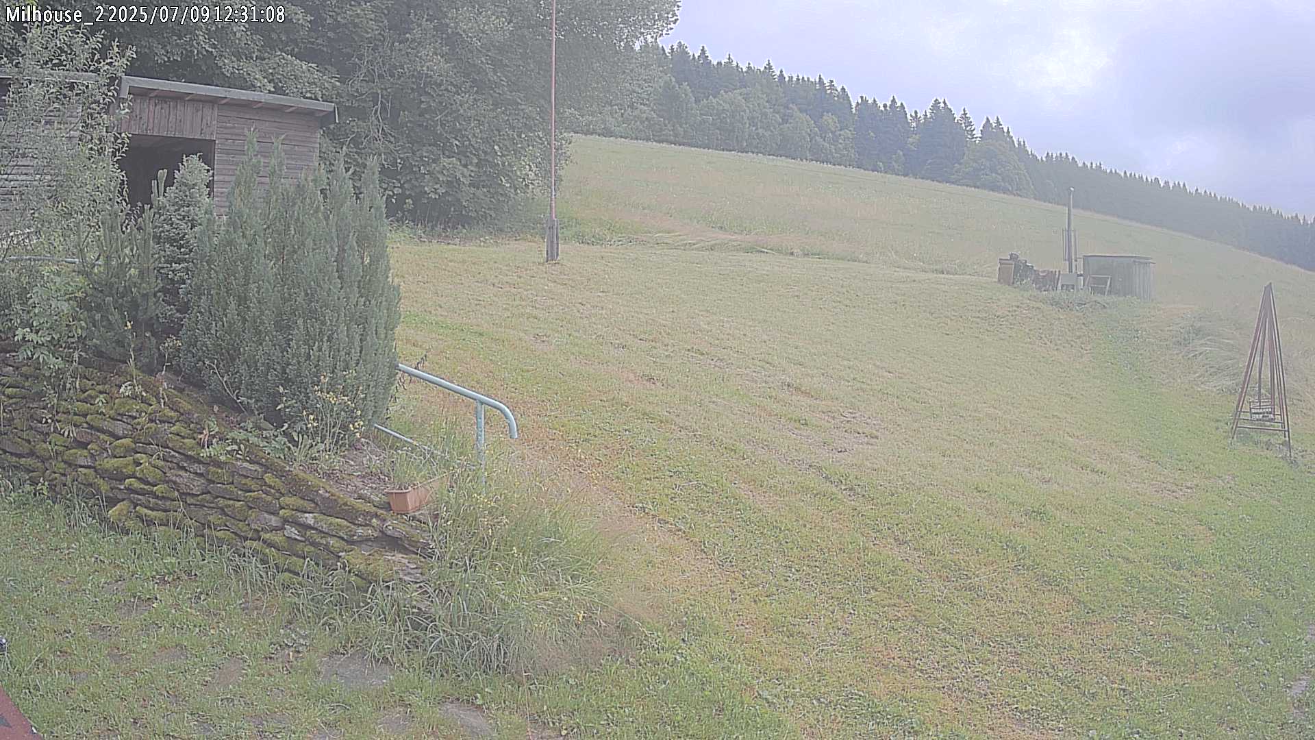 Fotka z 12:31